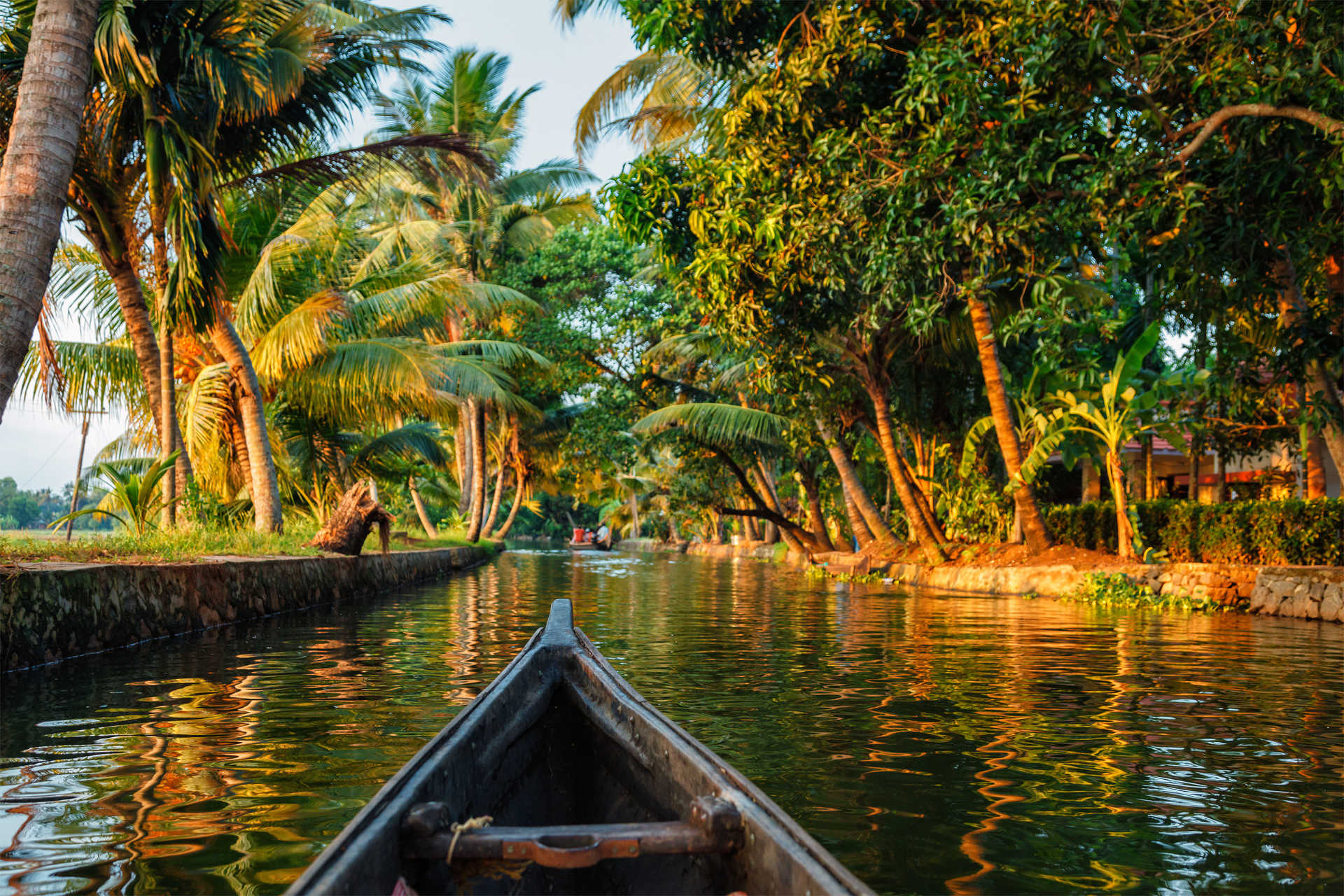 Canoë à travers les Backwaters, Kerala, Inde