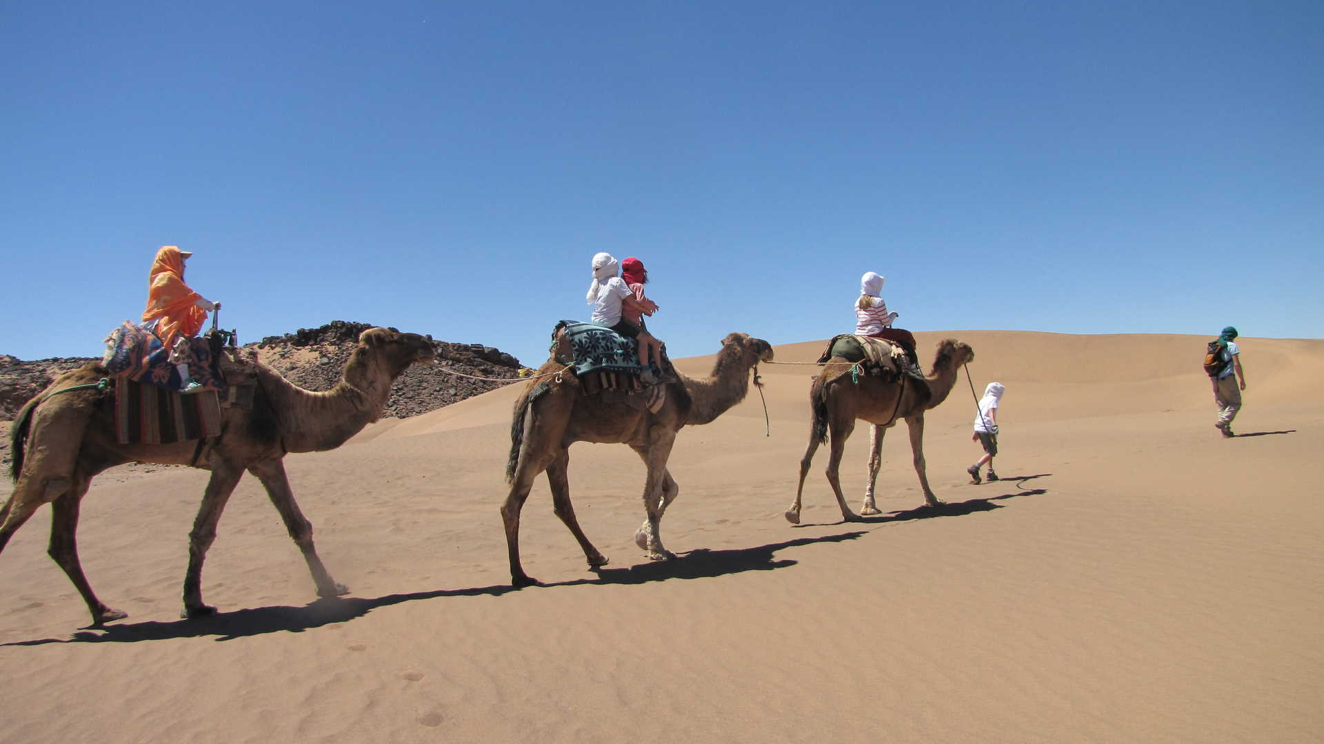 Trek - Aventures sahariennes, dromadaires, sable et palmeraies