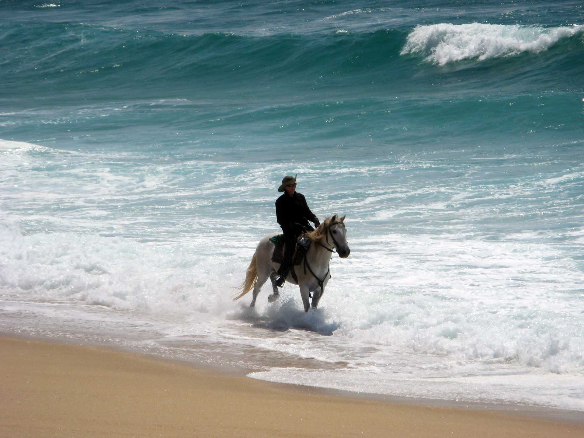 Cavalier marchant dans la mer, Alentejo - © CHEVAL D'AVENTURE Cavalier marchant dans la mer, Alentejo