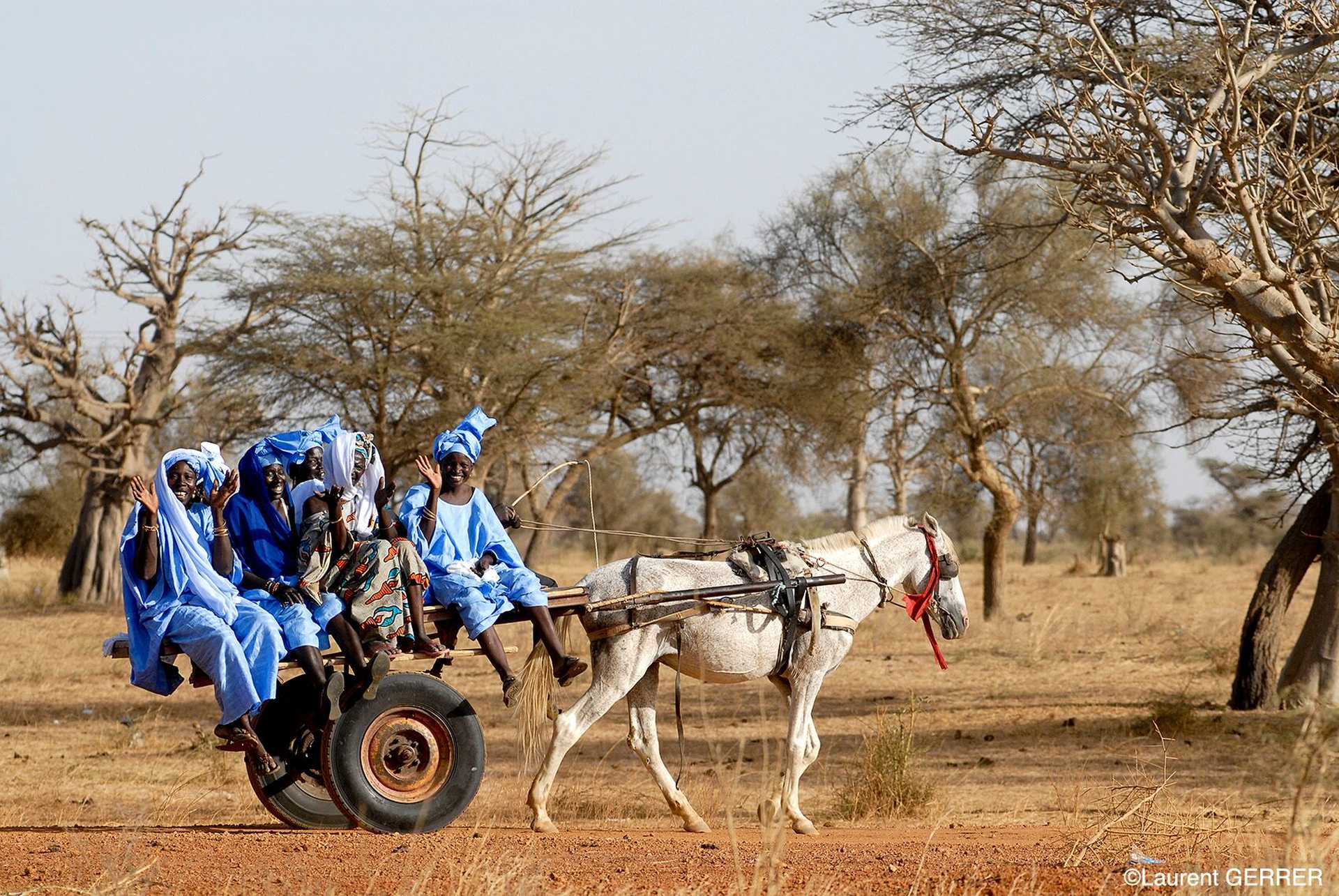 Charette dans la brousse sénégalaise - © Gerrer Laurent Charette dans la brousse sénégalaise