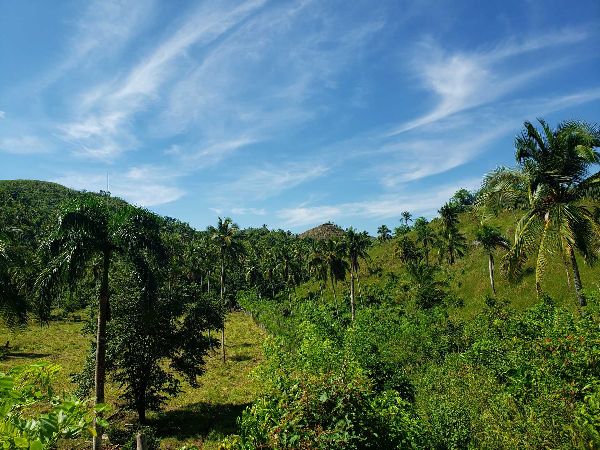collines tropicales en République Dominicaine