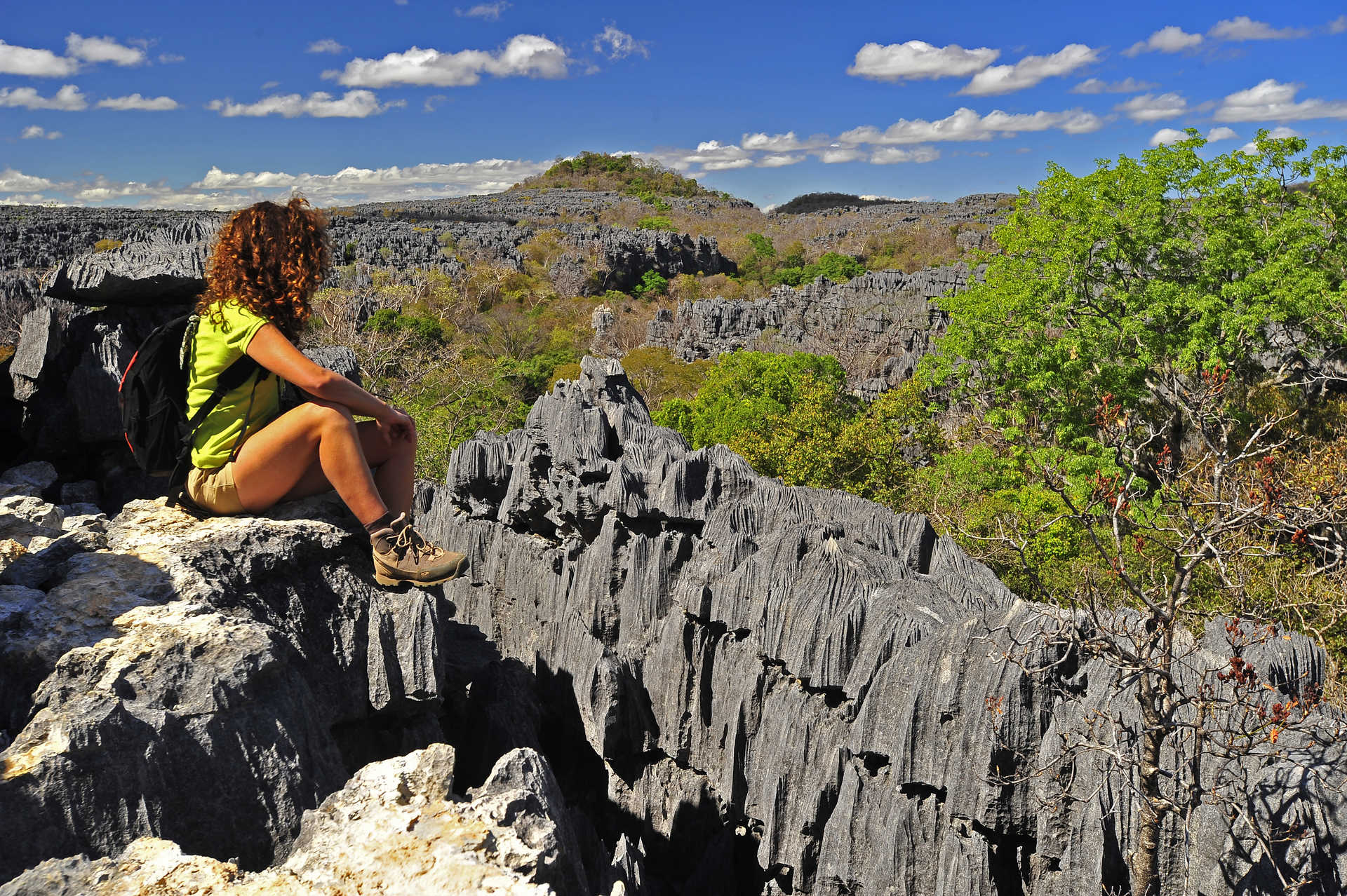 Contemplation des tsingys de Madagascar