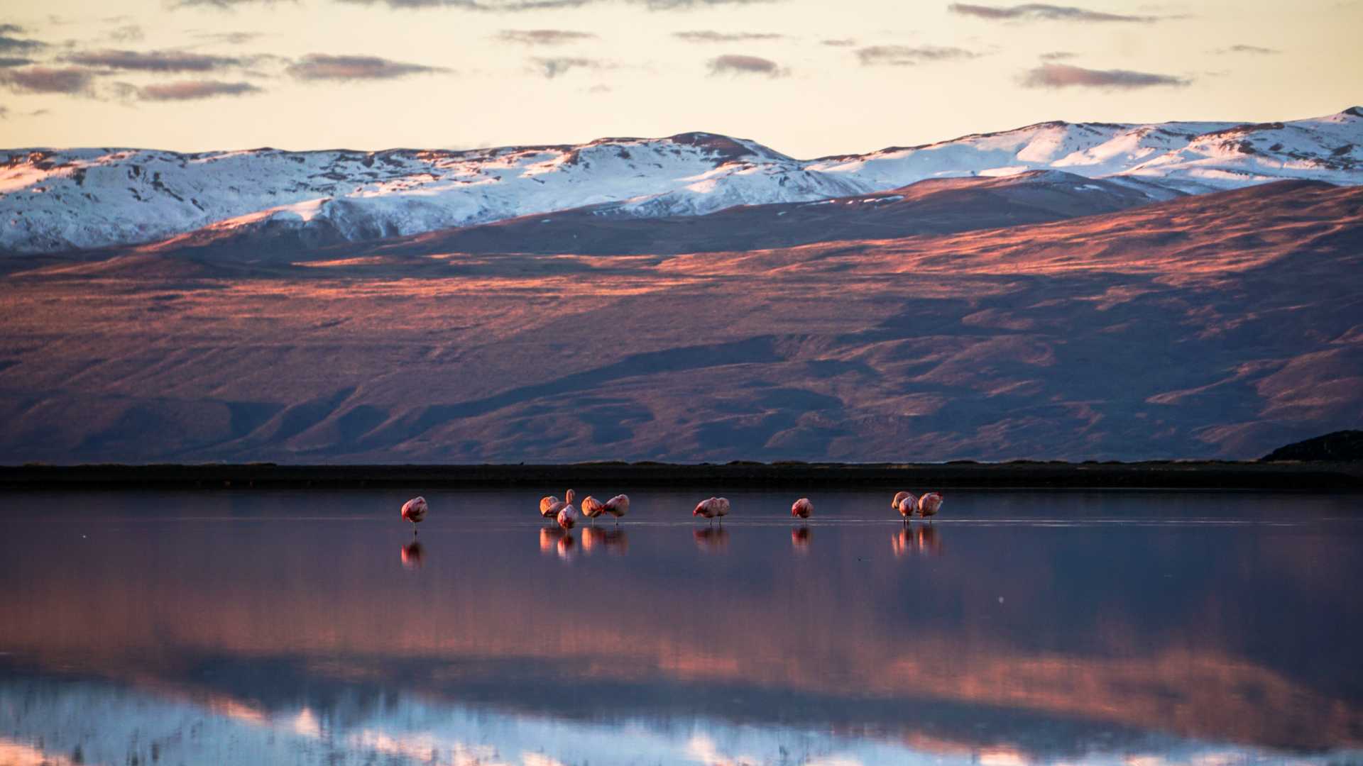 Coucher de soleil dans la réserve Laguna Nimez, sur le Lac Argentino à El Calafate