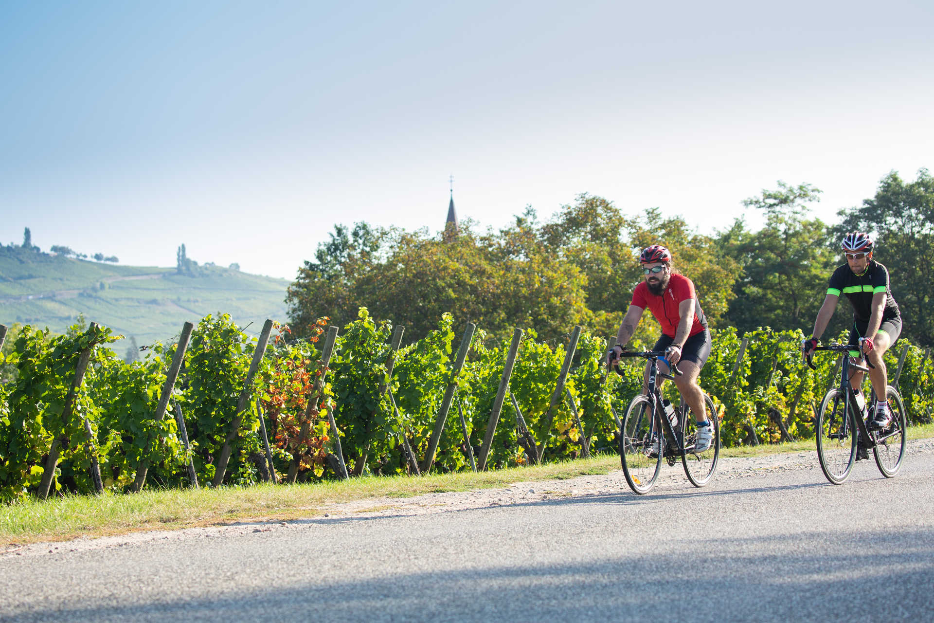 deux cyclistes sur la route près des vignobles en Alsace
