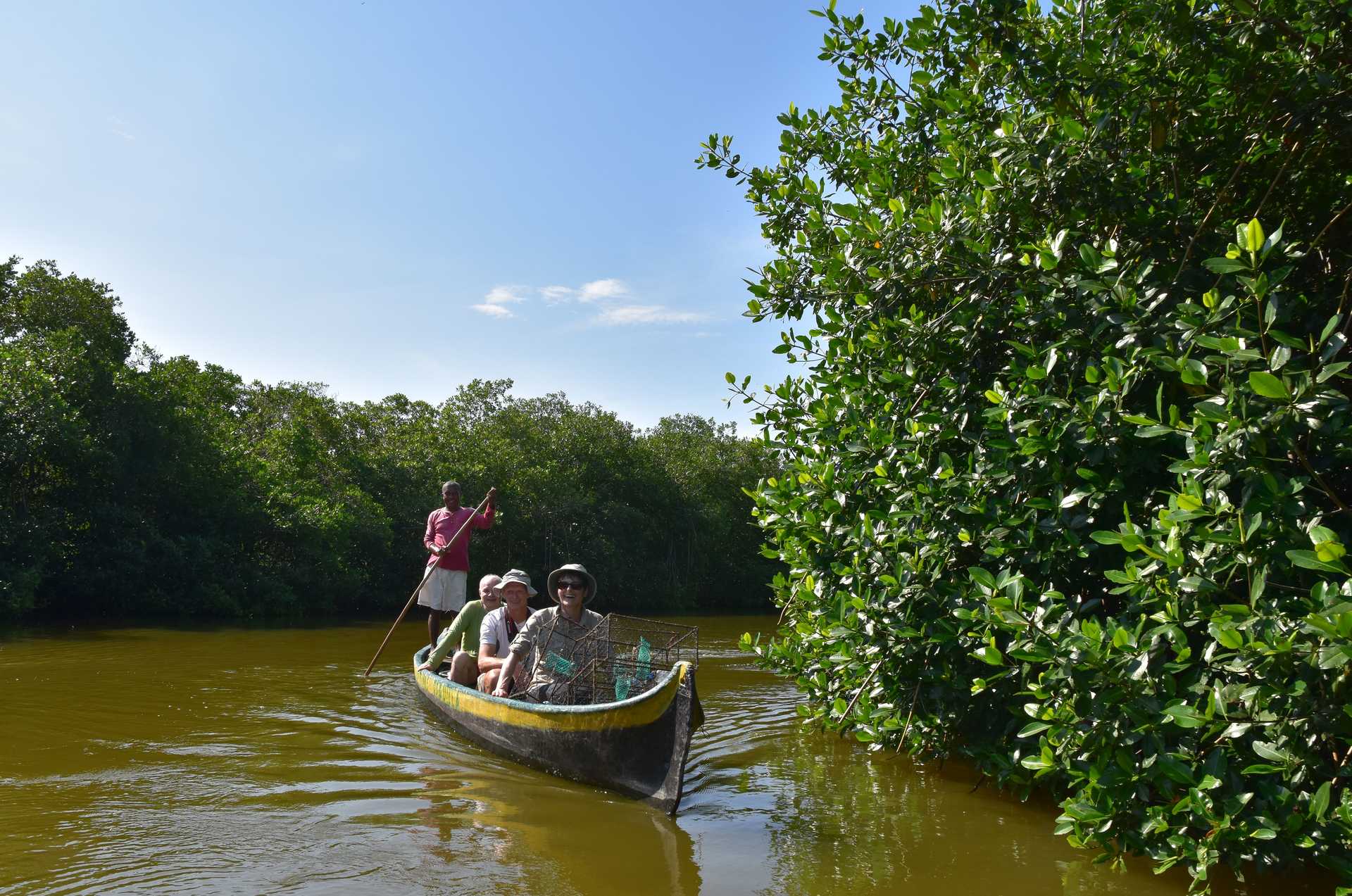 Découverte de la mangrove à la Boquilla