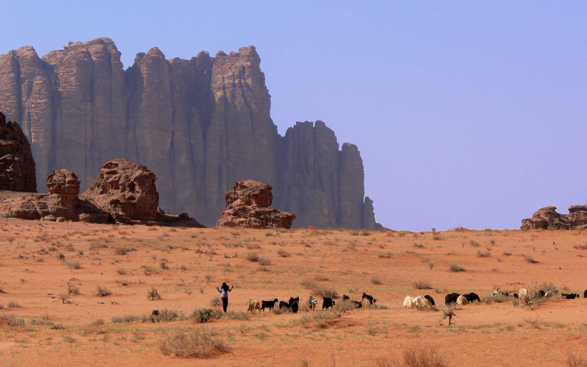 Désert de Wadi Rum - © M. COSTE Désert de Wadi Rum