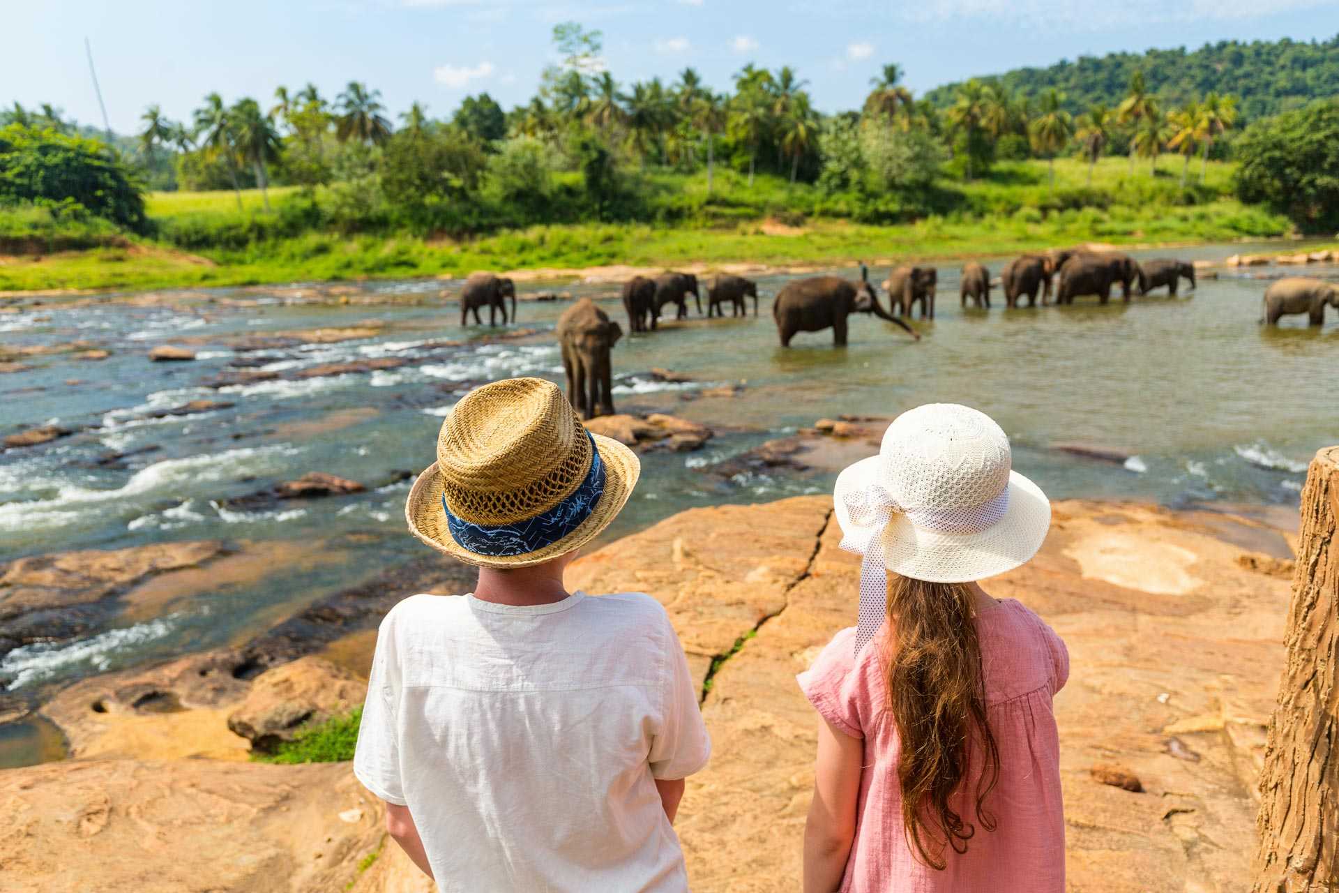 Deux enfants observant les éléphants à Rambukkana, au Sri Lanka