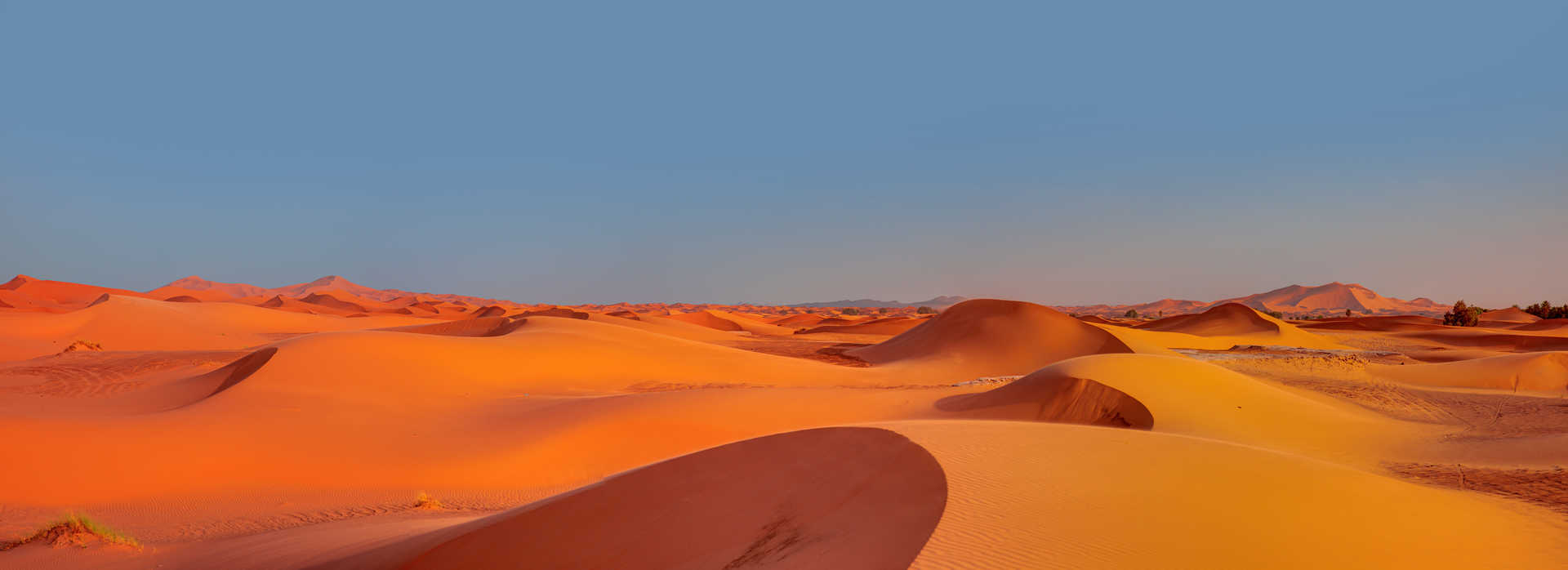 Dunes de sable au Maroc desert