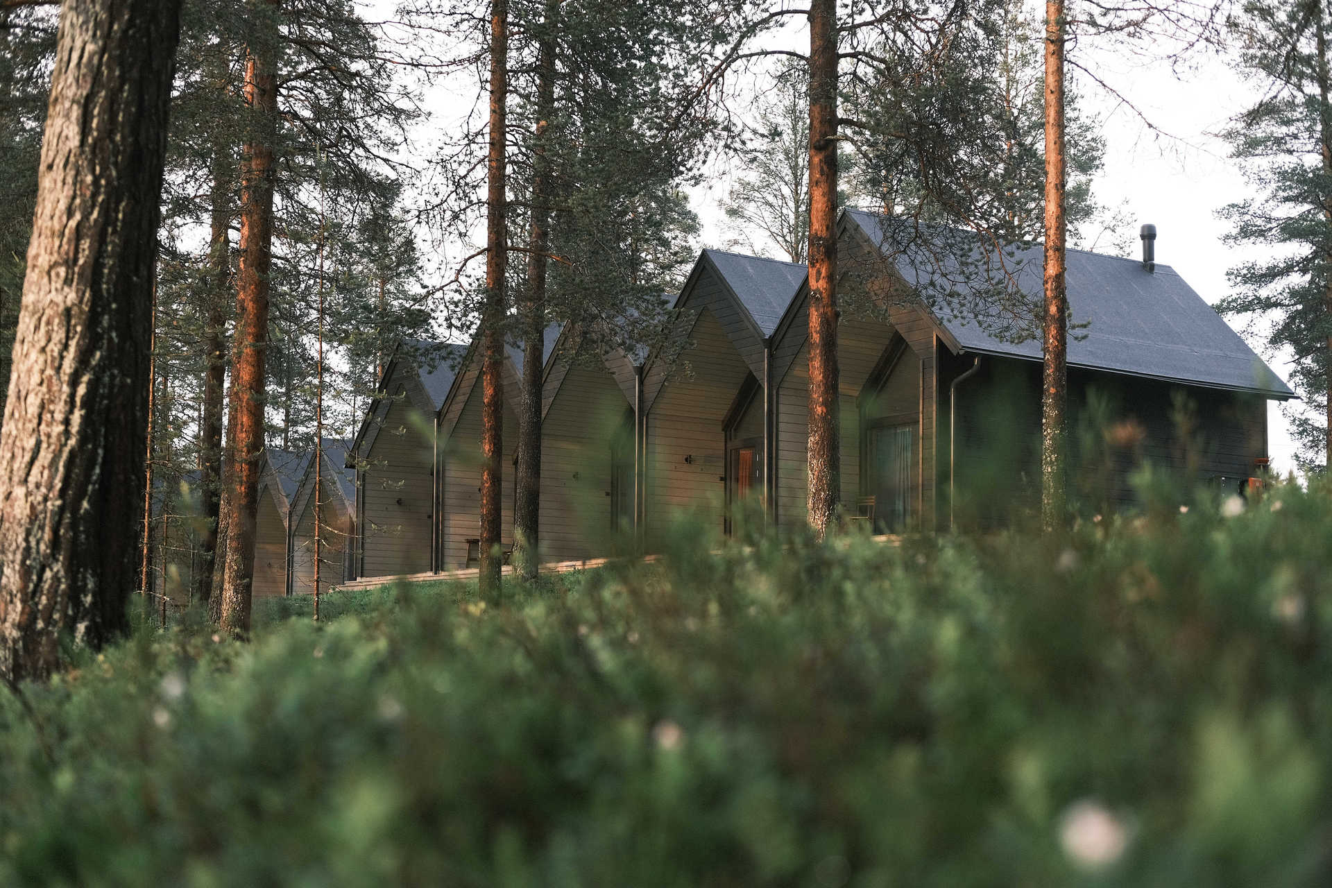 Ecolodges de l'auberge en Finlande dans le parc national de Hossa