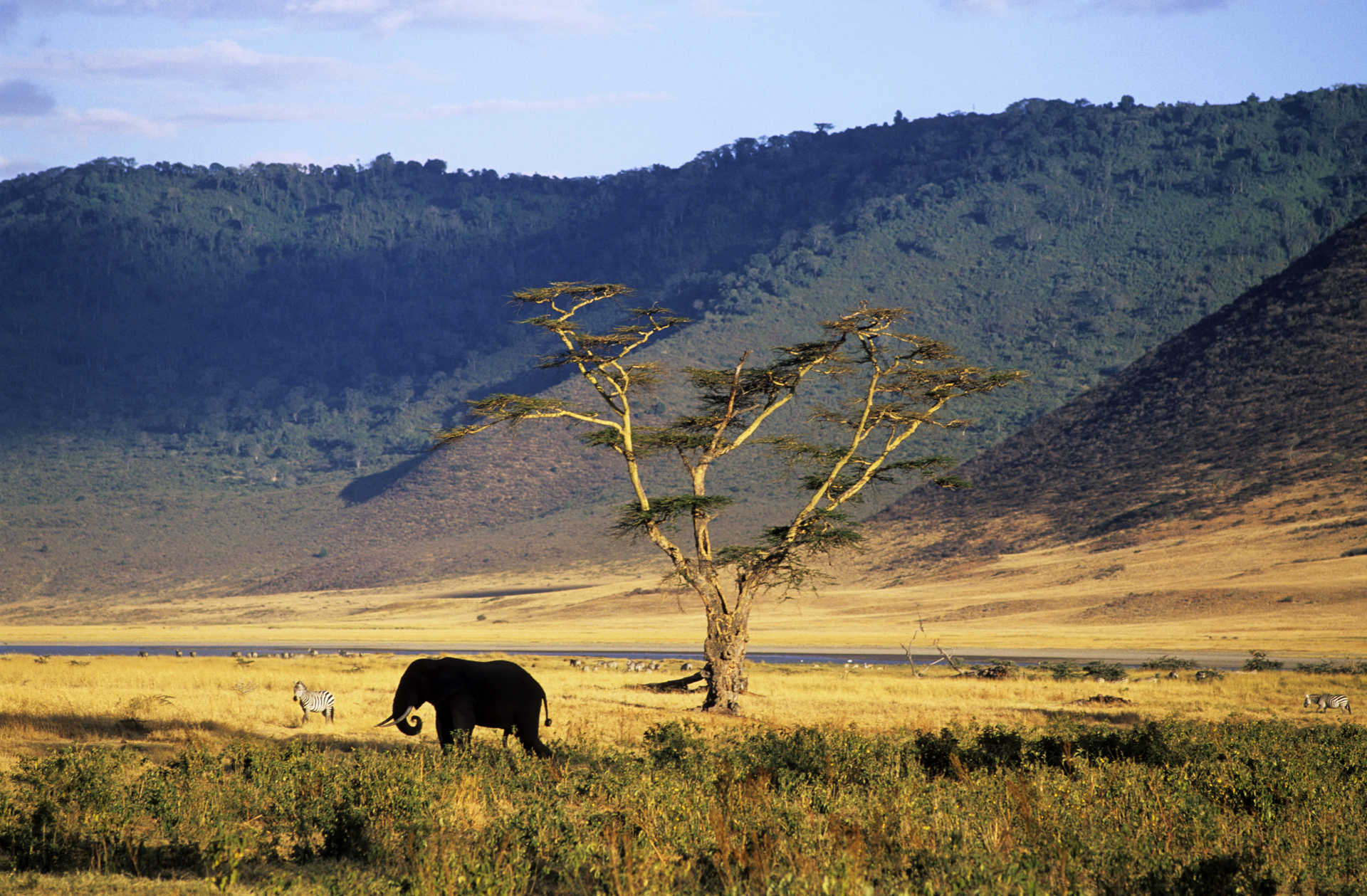 Voyage à thème : Tanzanie : Safaris du Nord en lodge et camps de toile confort !