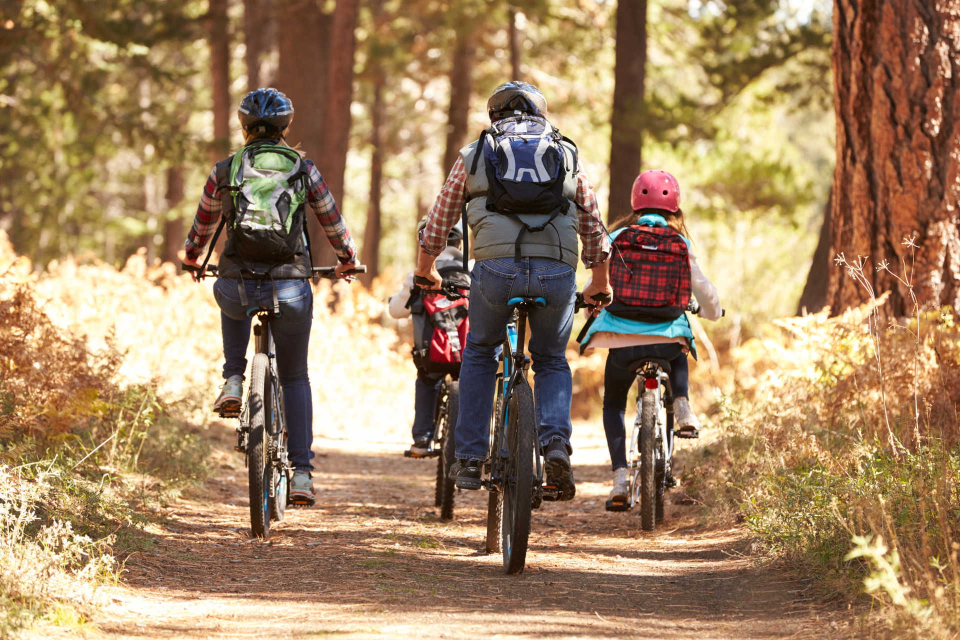 Famille à vélo, se baladant dans les bois une journée d'automne