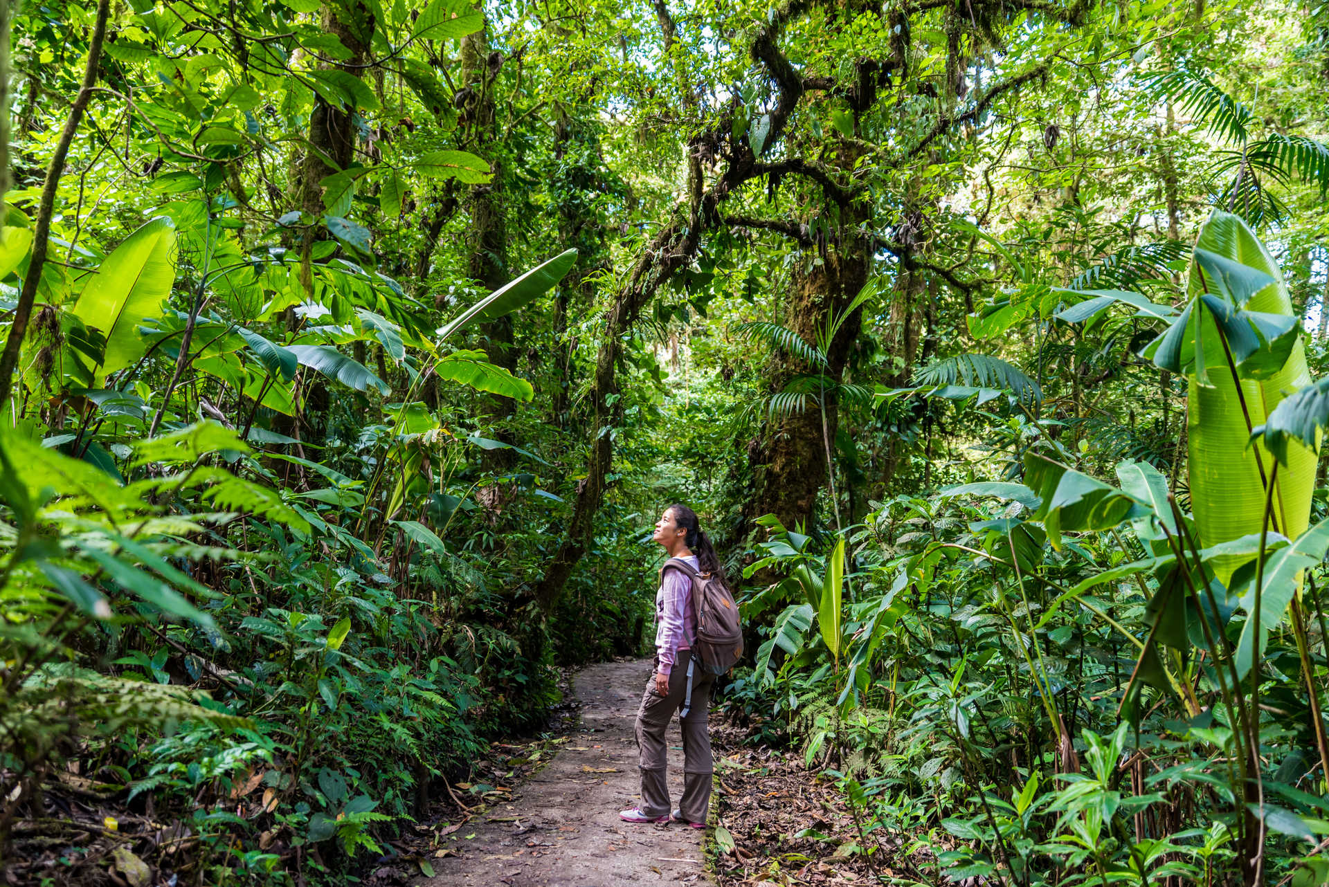 Femme dans la jungle du Costa Rica