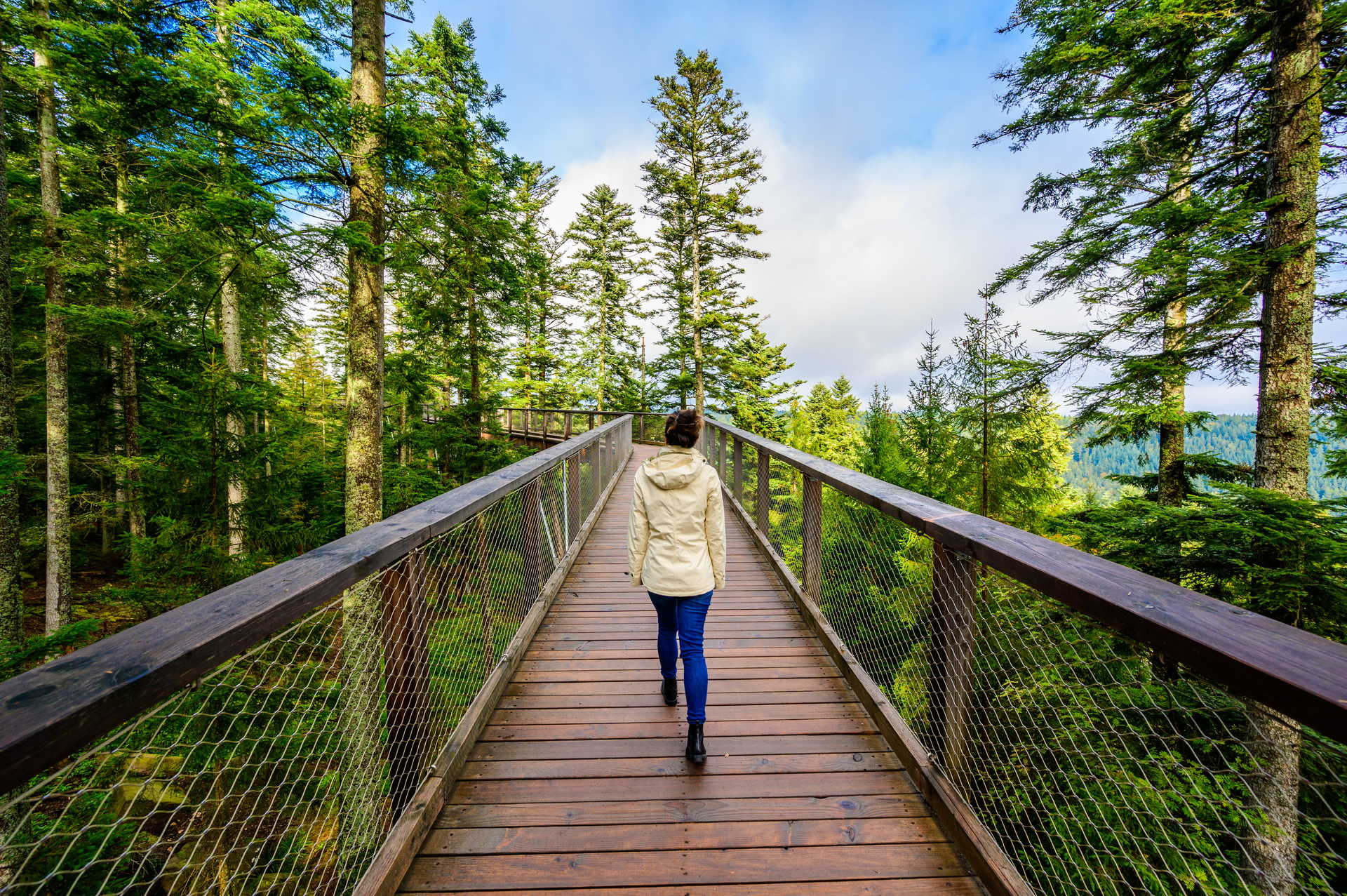 Femme qui marche sur un pont dans la foret noire en Allemagne