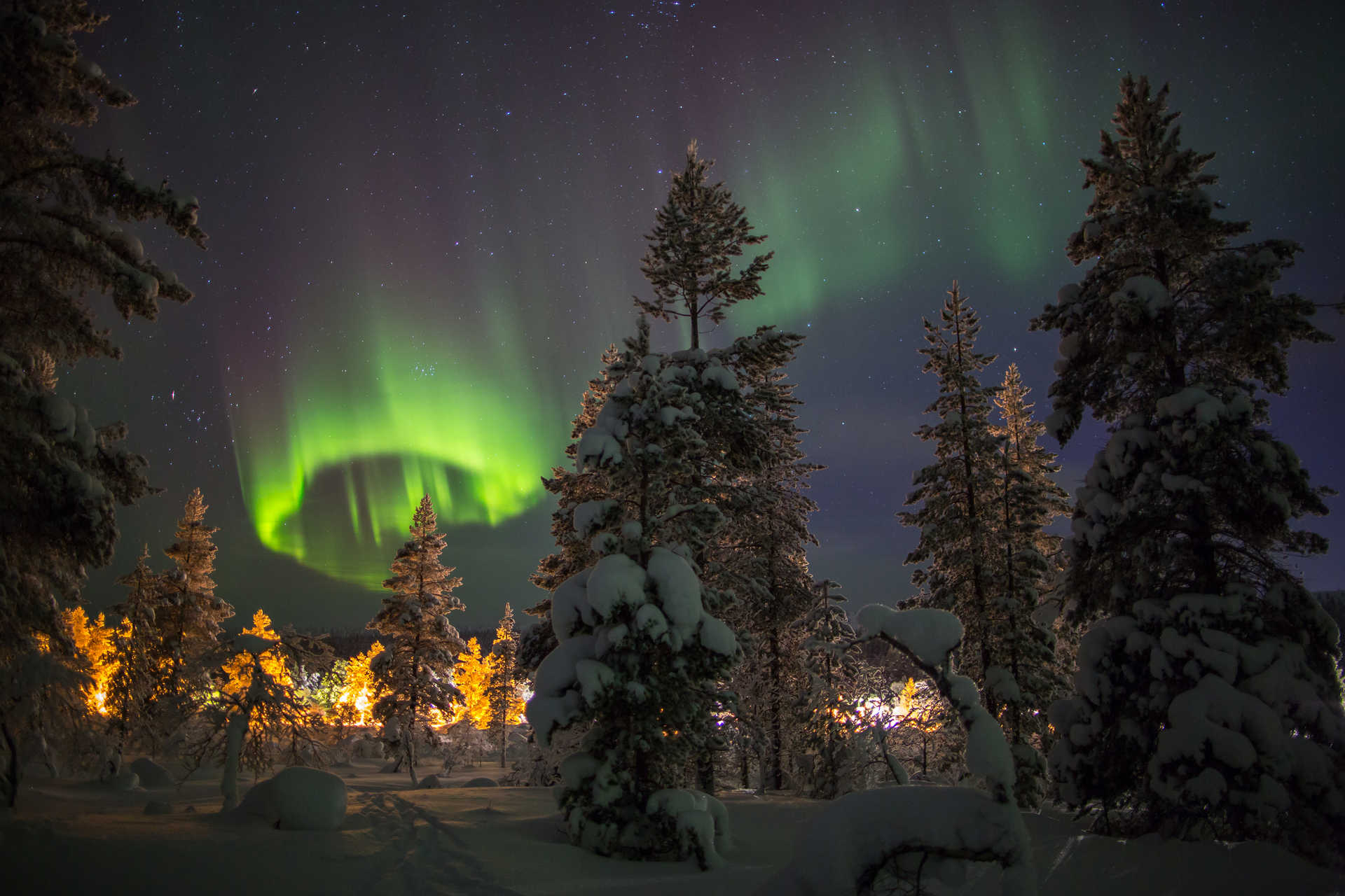 Finlande Ivalo forêt aurores boréales © Adobe Stock Finlande Ivalo forêt aurores boréales