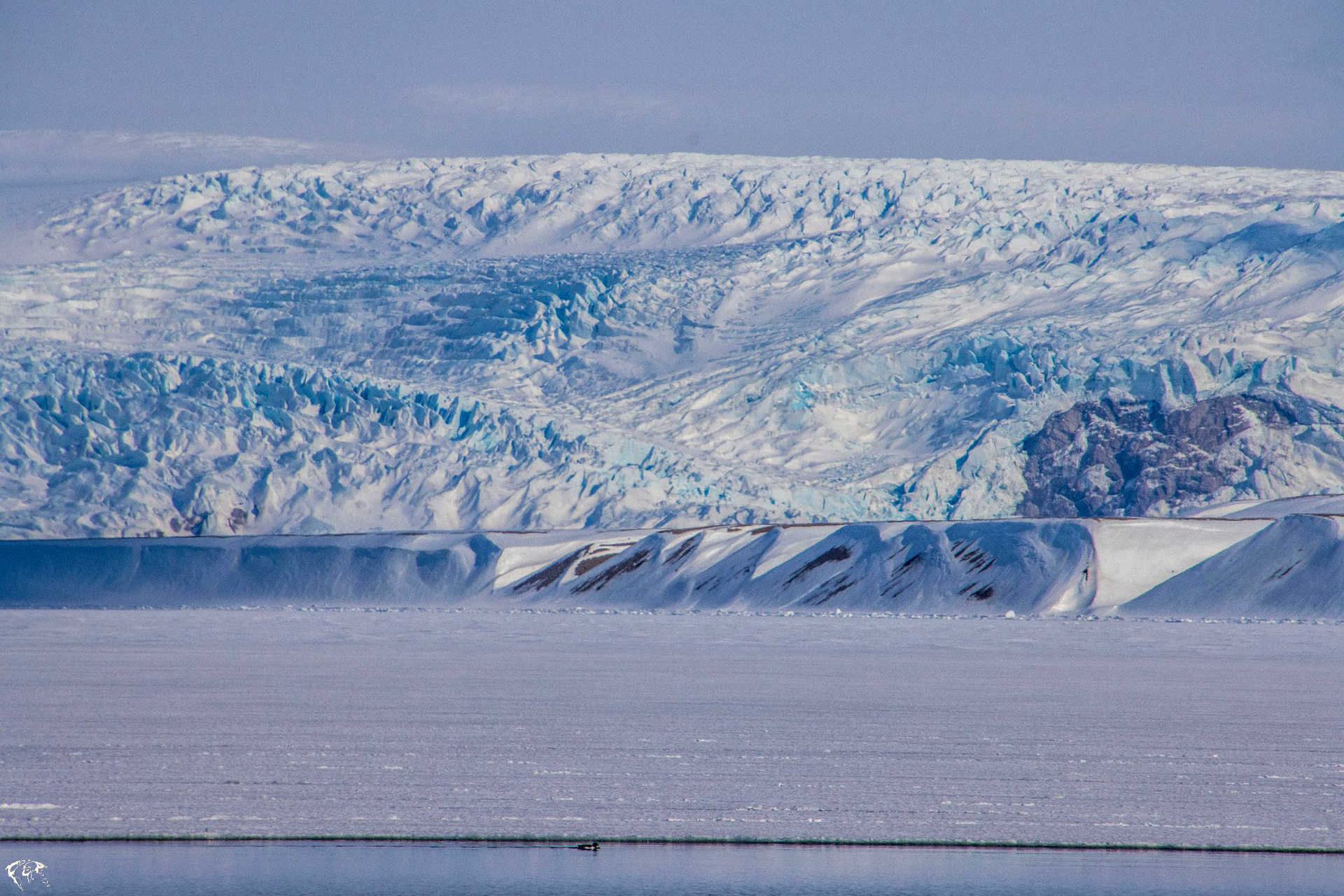 Glacier du Svalbard en hiver