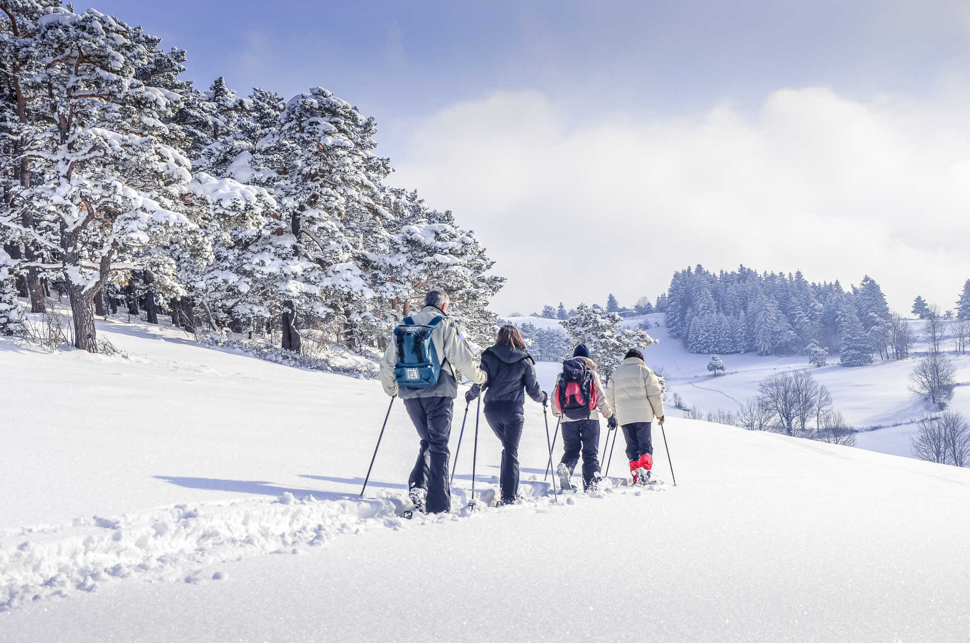 Raquette à neige : comment préparer sa randonnée et choisir son équipement ?