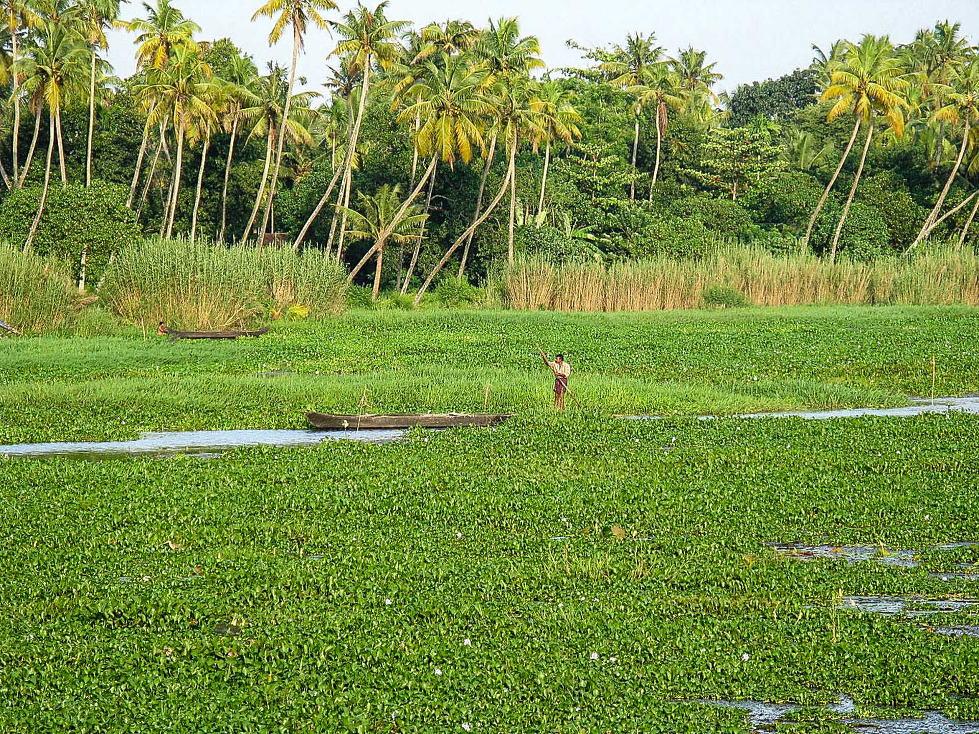 homme en bateau dans les backwaters