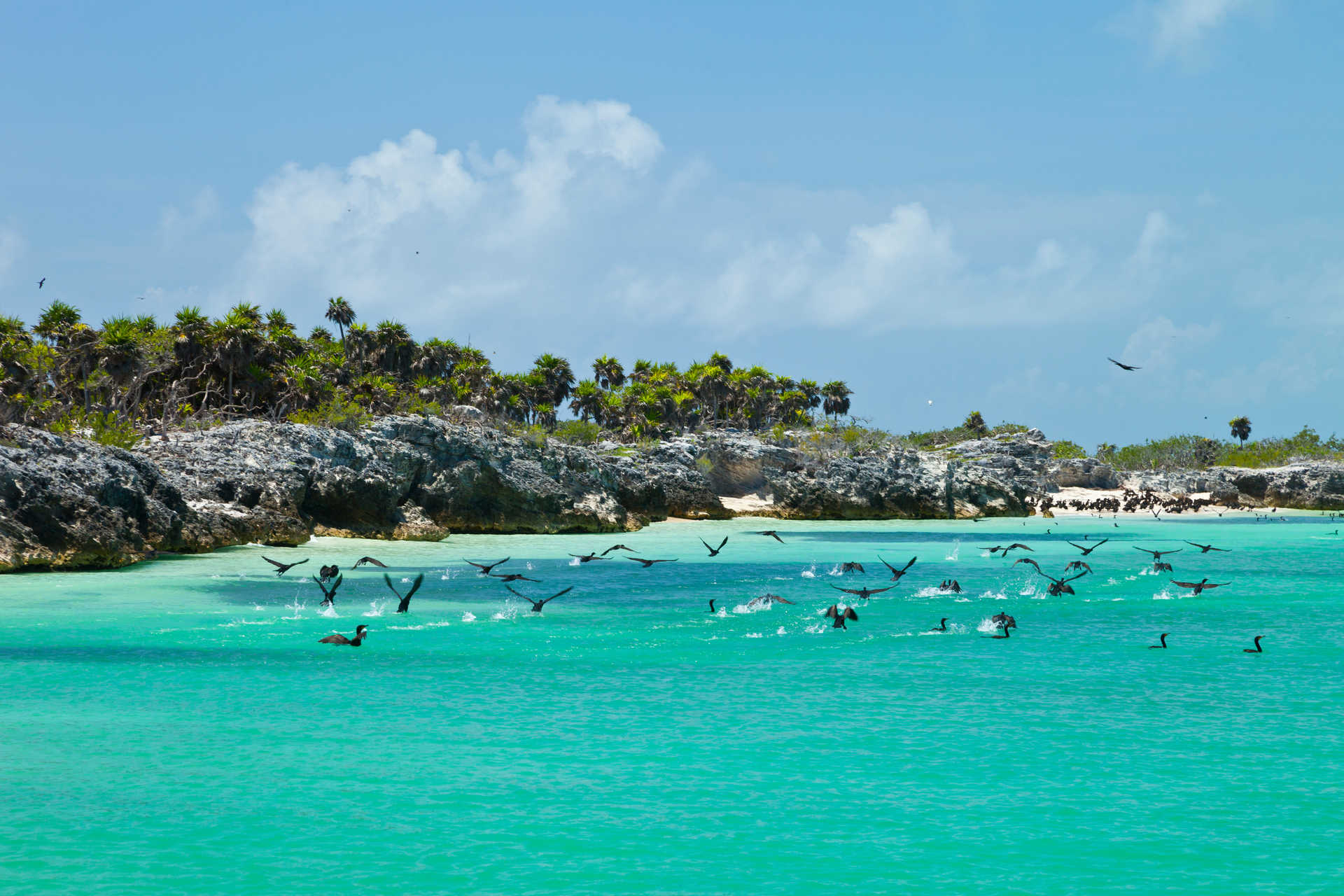 Île Contoy péninsule du Yucatan Mexique