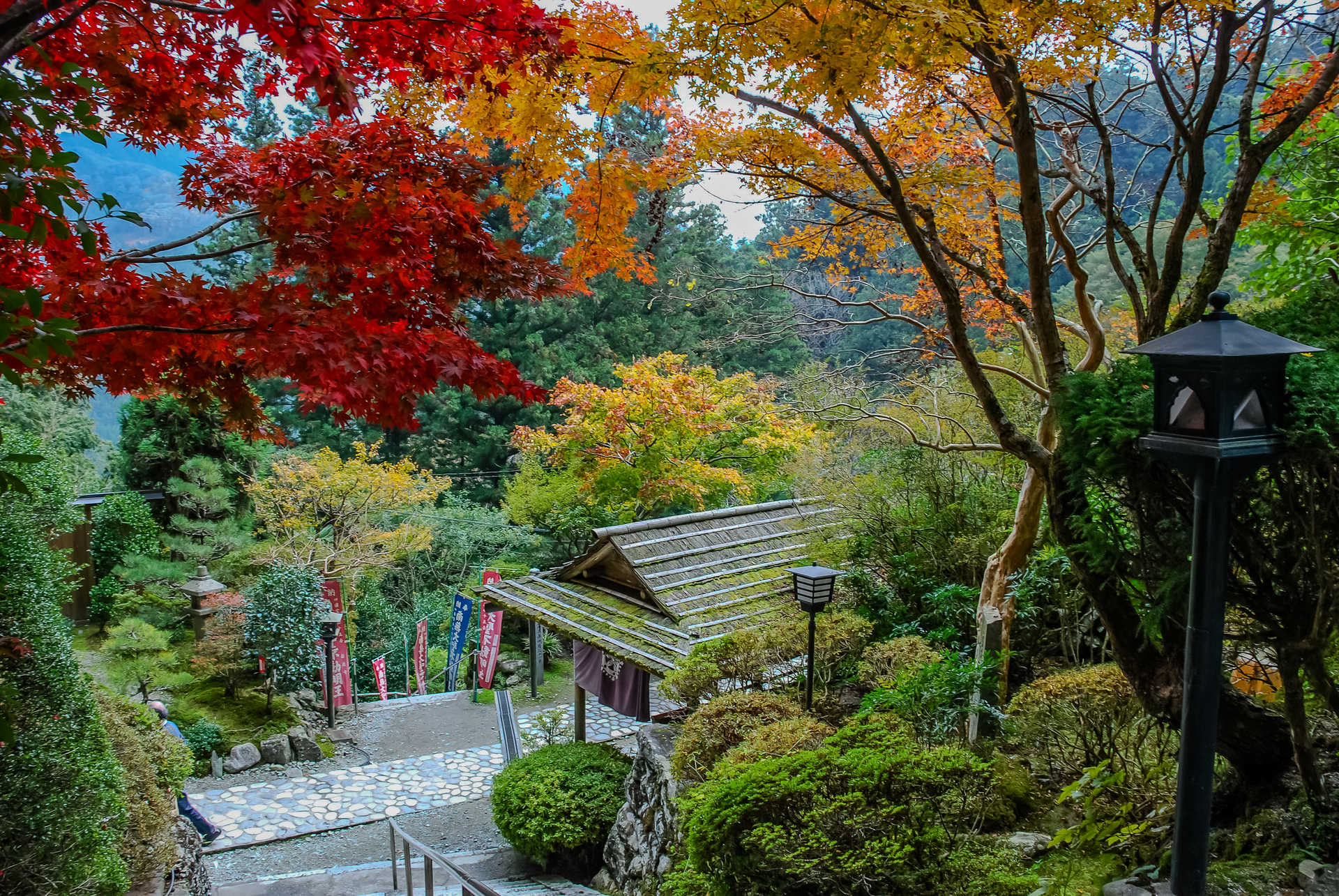 île de Shikoku © Adobe Stock île de Shikoku