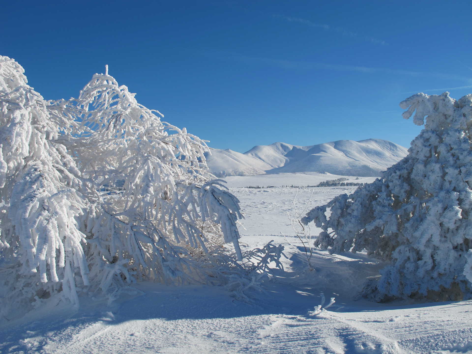 Voyage à la neige : France : rando raquettes sur les pentes des volcans dauvergne