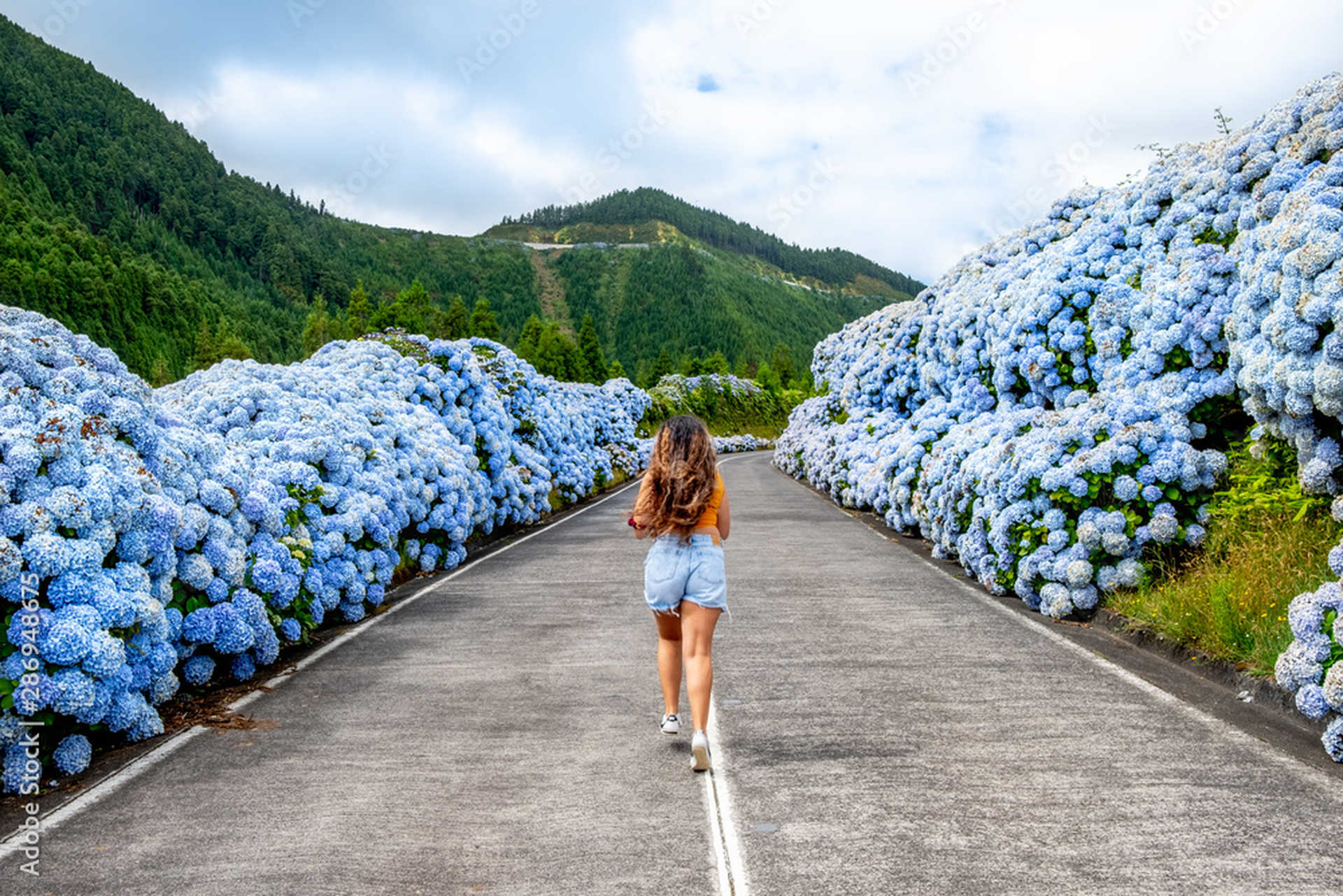 Jeune femme courant au milieu de la route avec des hortensias blancs et bleus à São Miguel, Açores