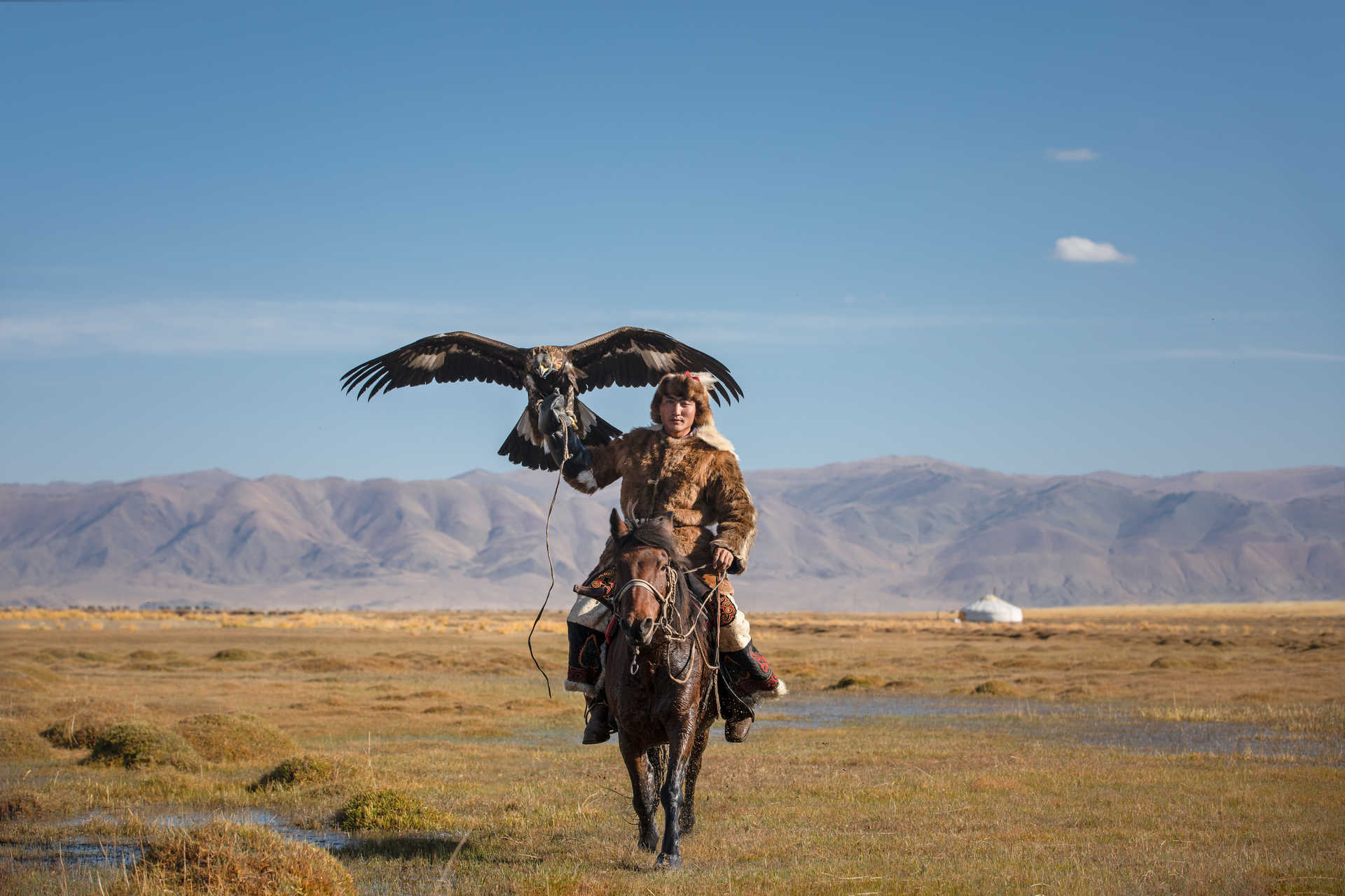 Jeune homme à cheval avec un aigle en Mongolie