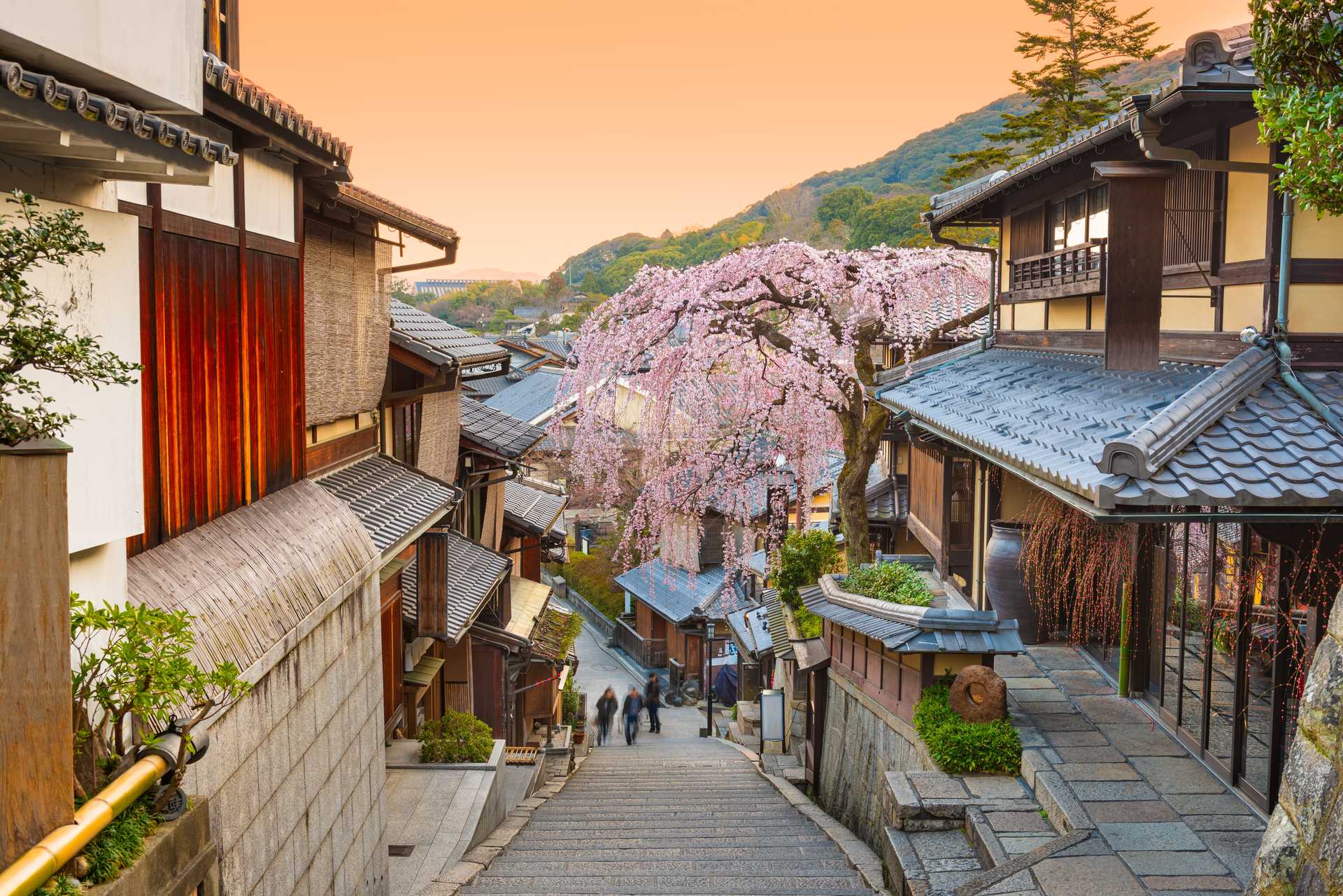 Kyoto quartier de Gion © Adobe Stock Kyoto quartier de Gion