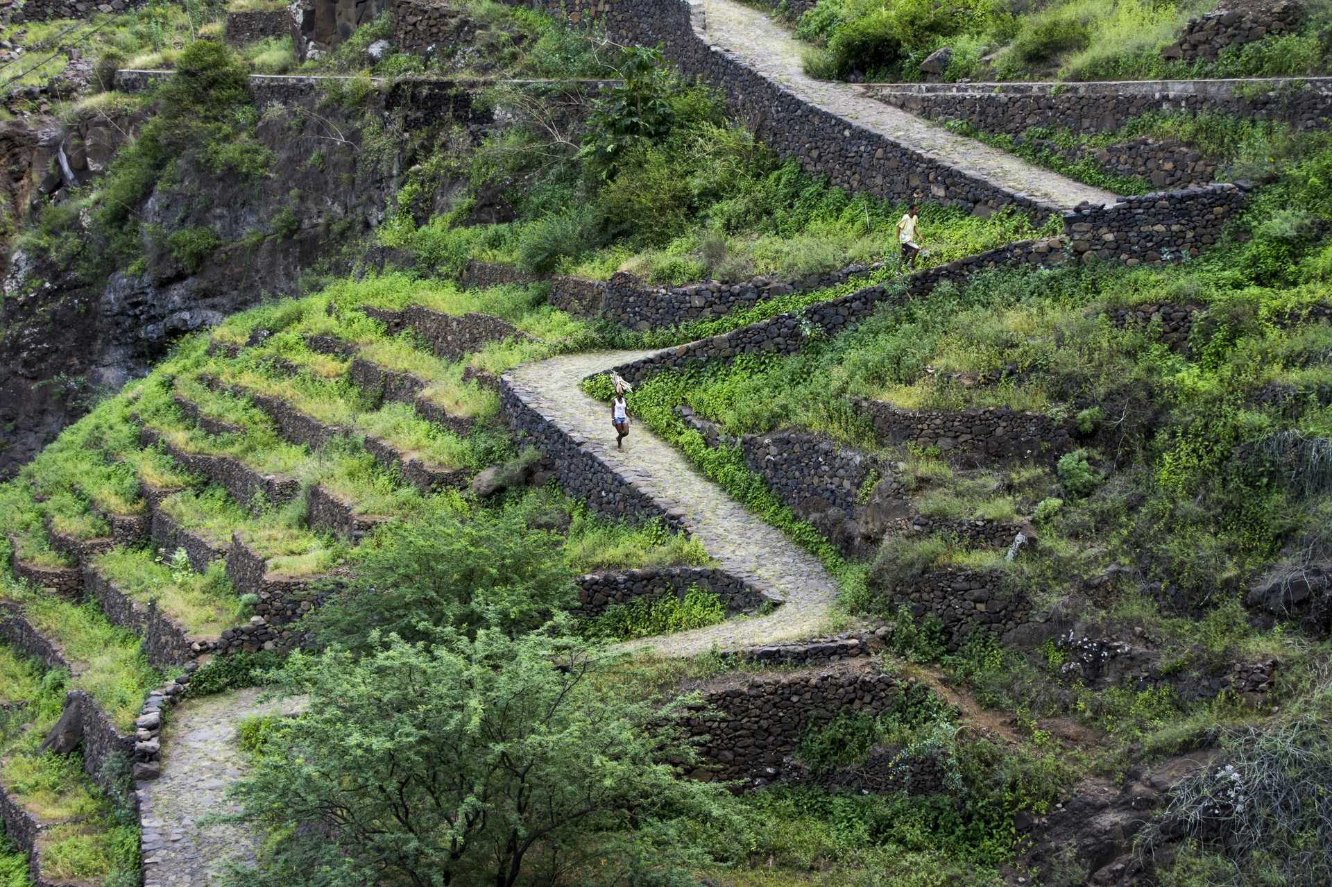 La luxuriante vallée de Paul sur l'île de Santo Antao