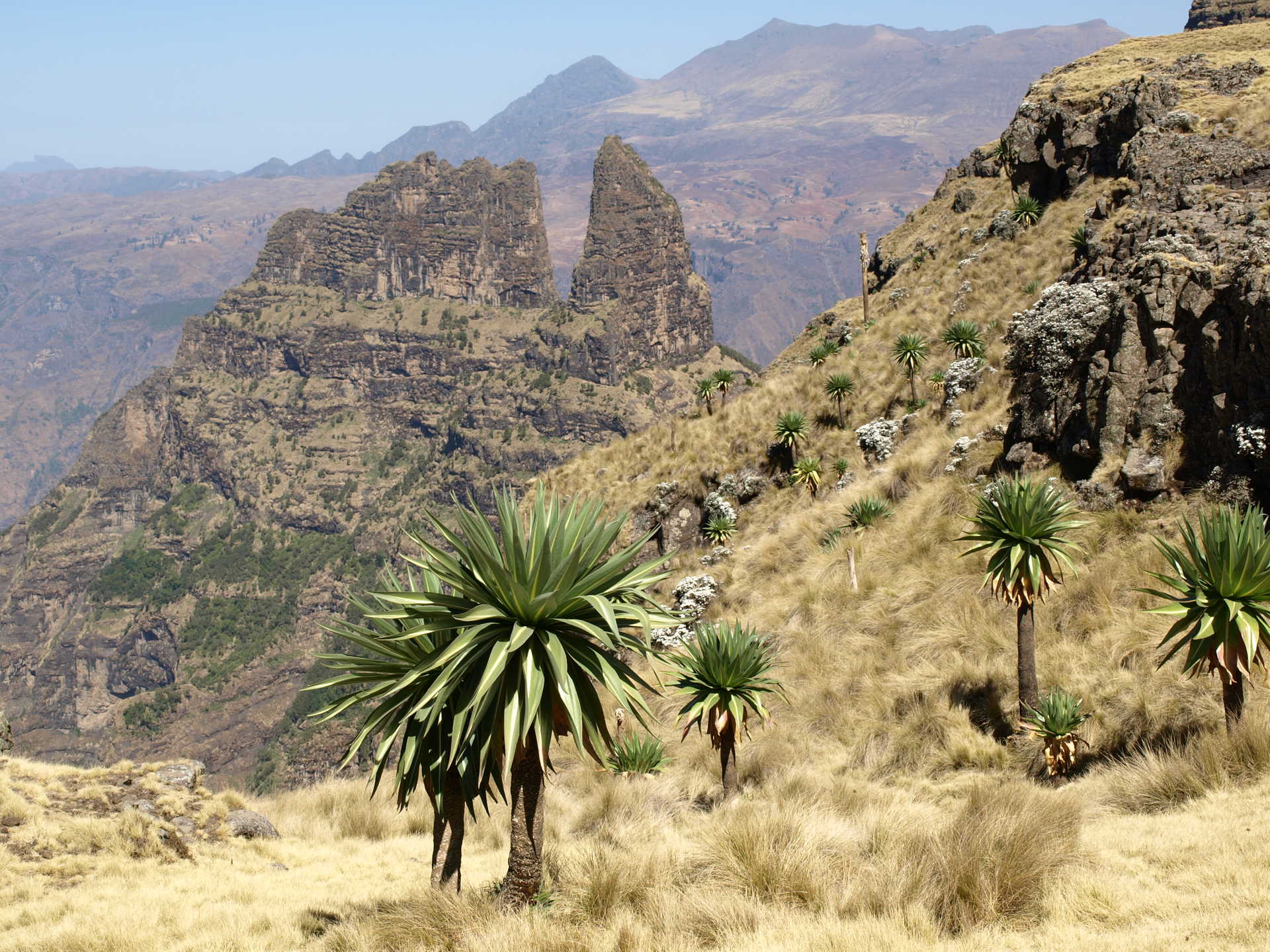 Le parc national des montagnes du Simien - © E. ANCELET Le parc national des montagnes du Simien