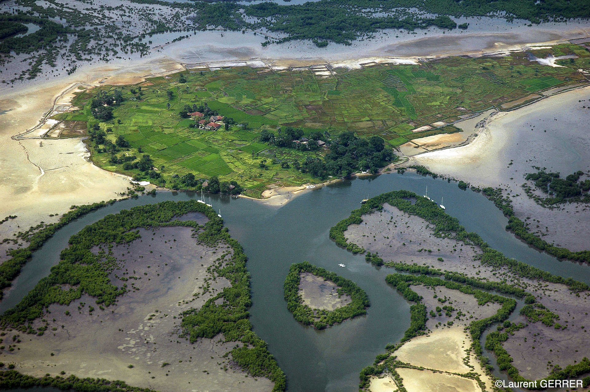 Les méandres du fleuve Saloum dans le parc du Sine Saloum