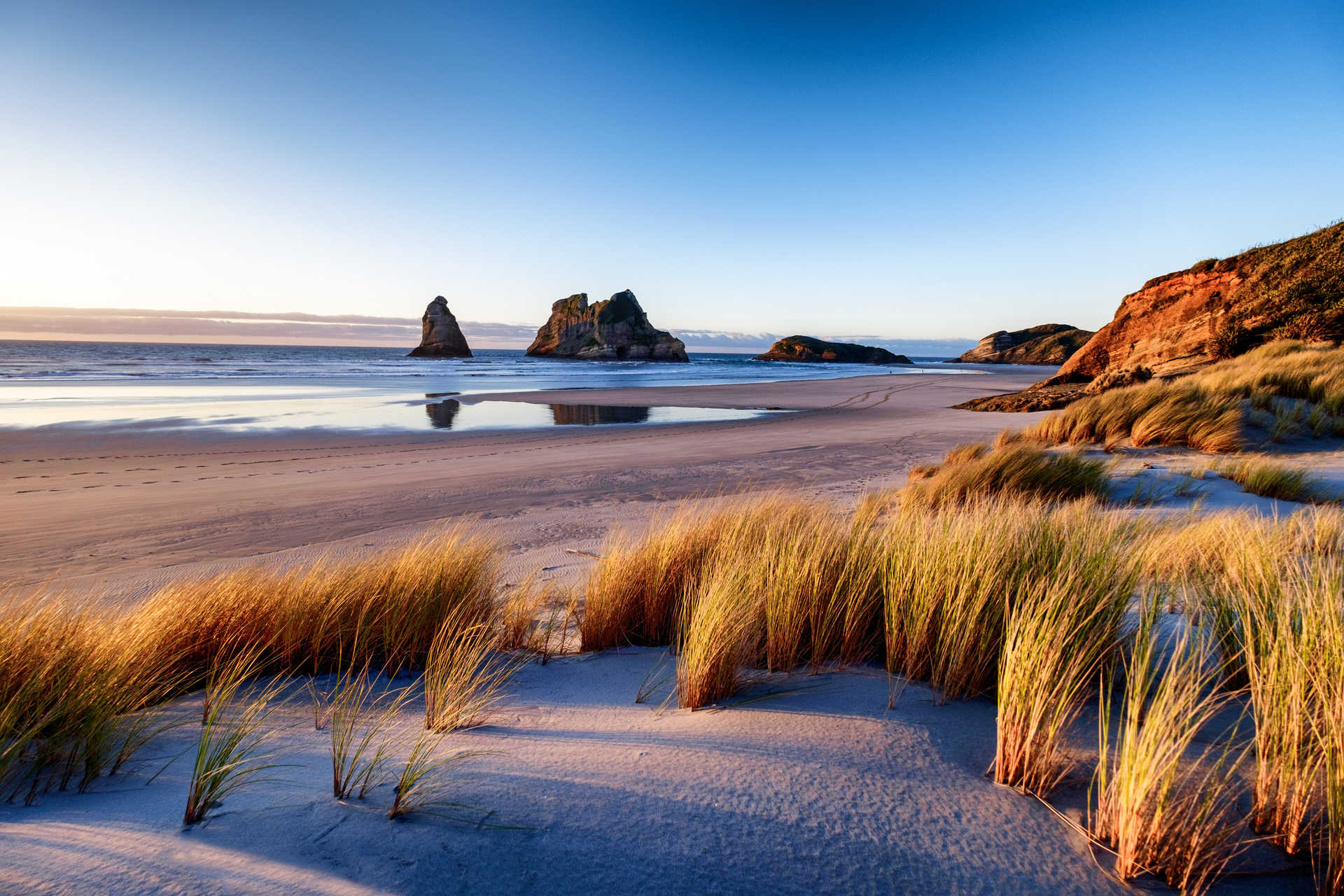 Lever de soleil matinal sur la plage de Wharariki en Nouvelle-Zélande