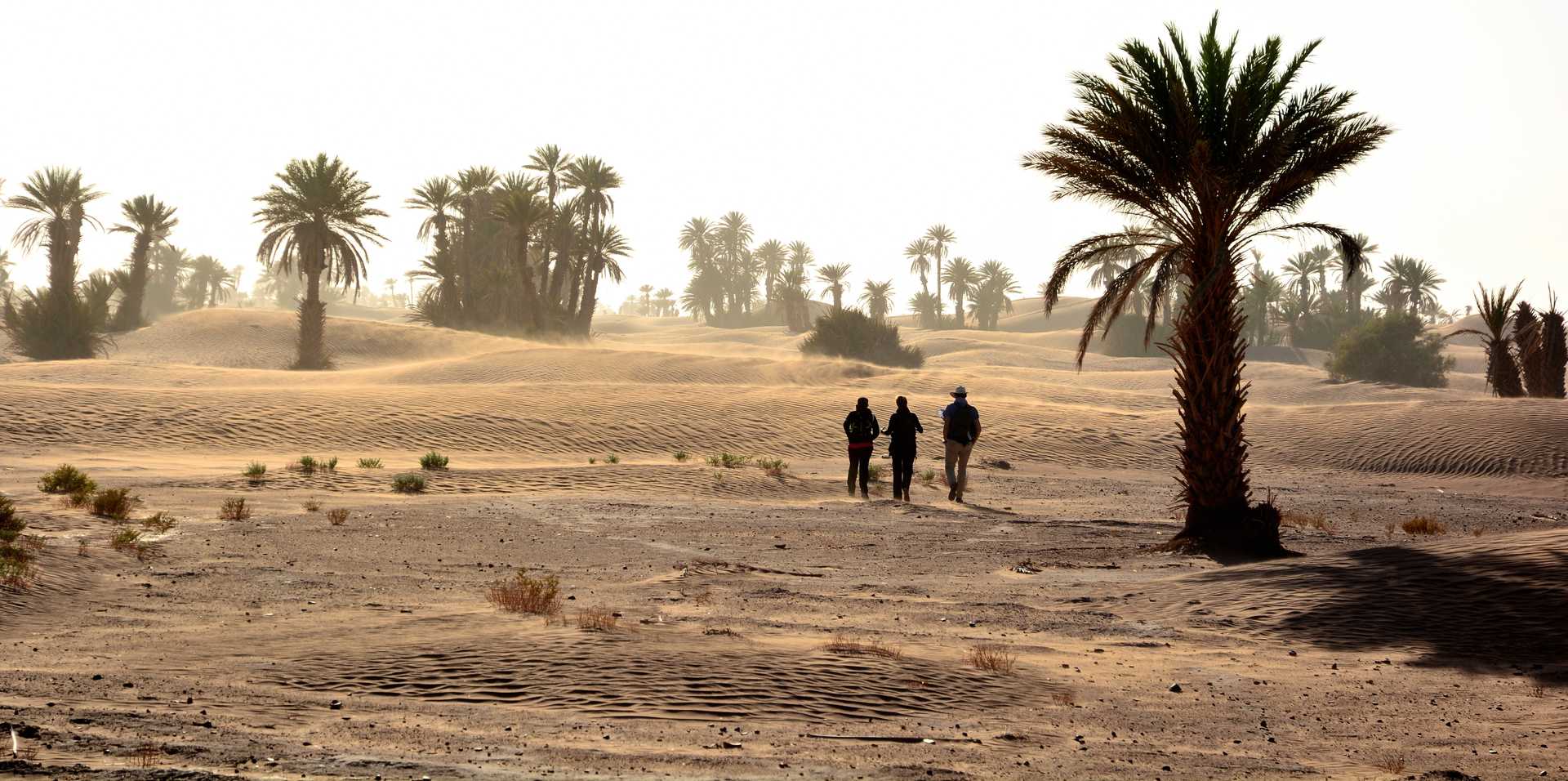 Marcheurs dans le désert de Nesrate, Maroc