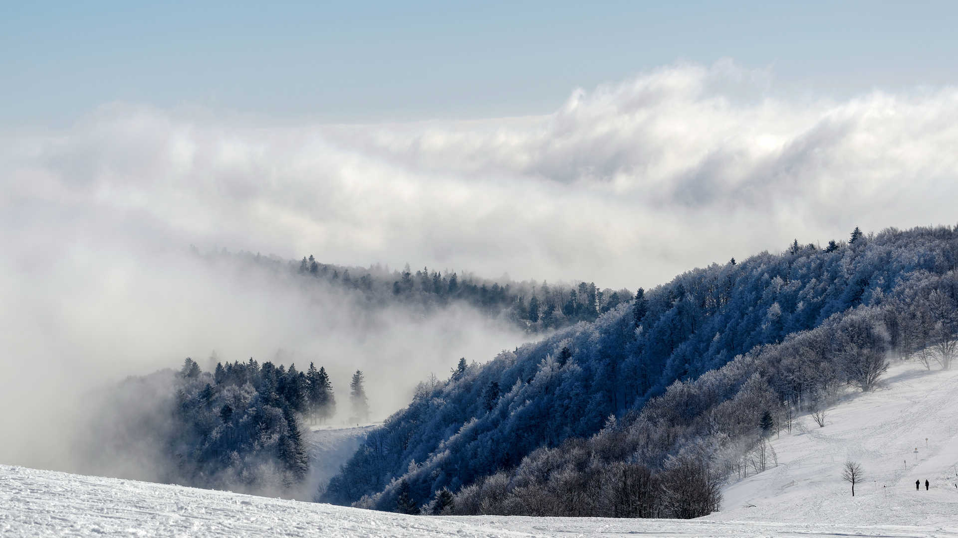 Montagne des Vosges en hiver sous la neige en France