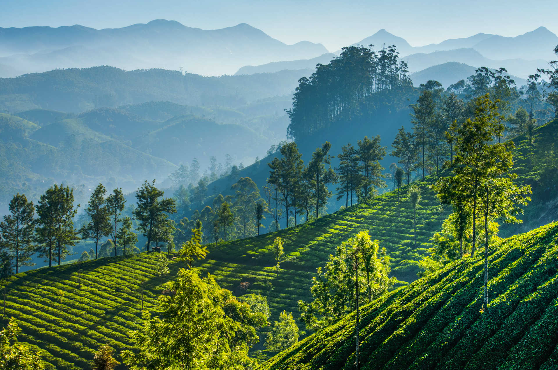 montagne-the-kerala