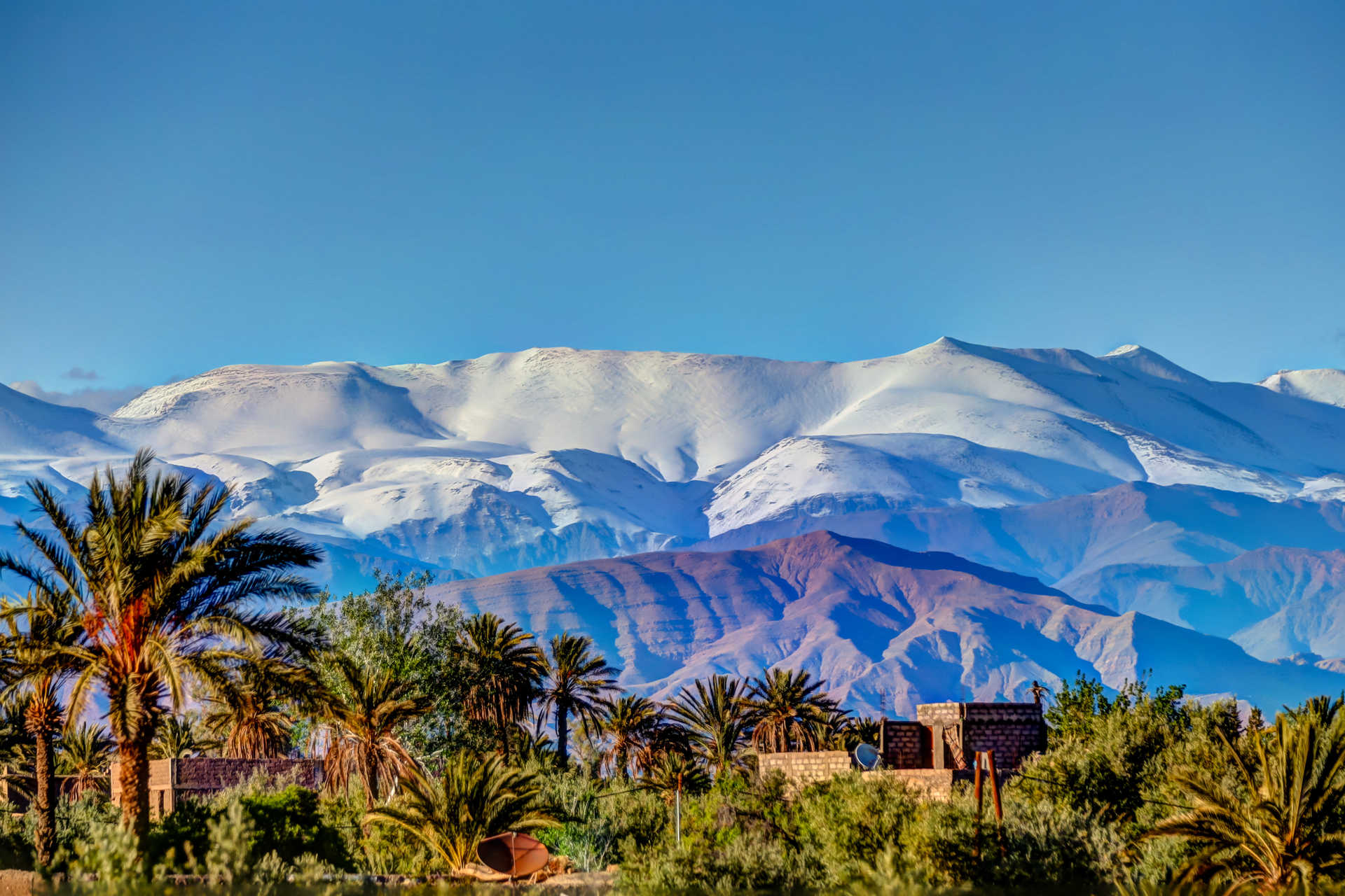 Palmeraie dans l Atlas du Maroc