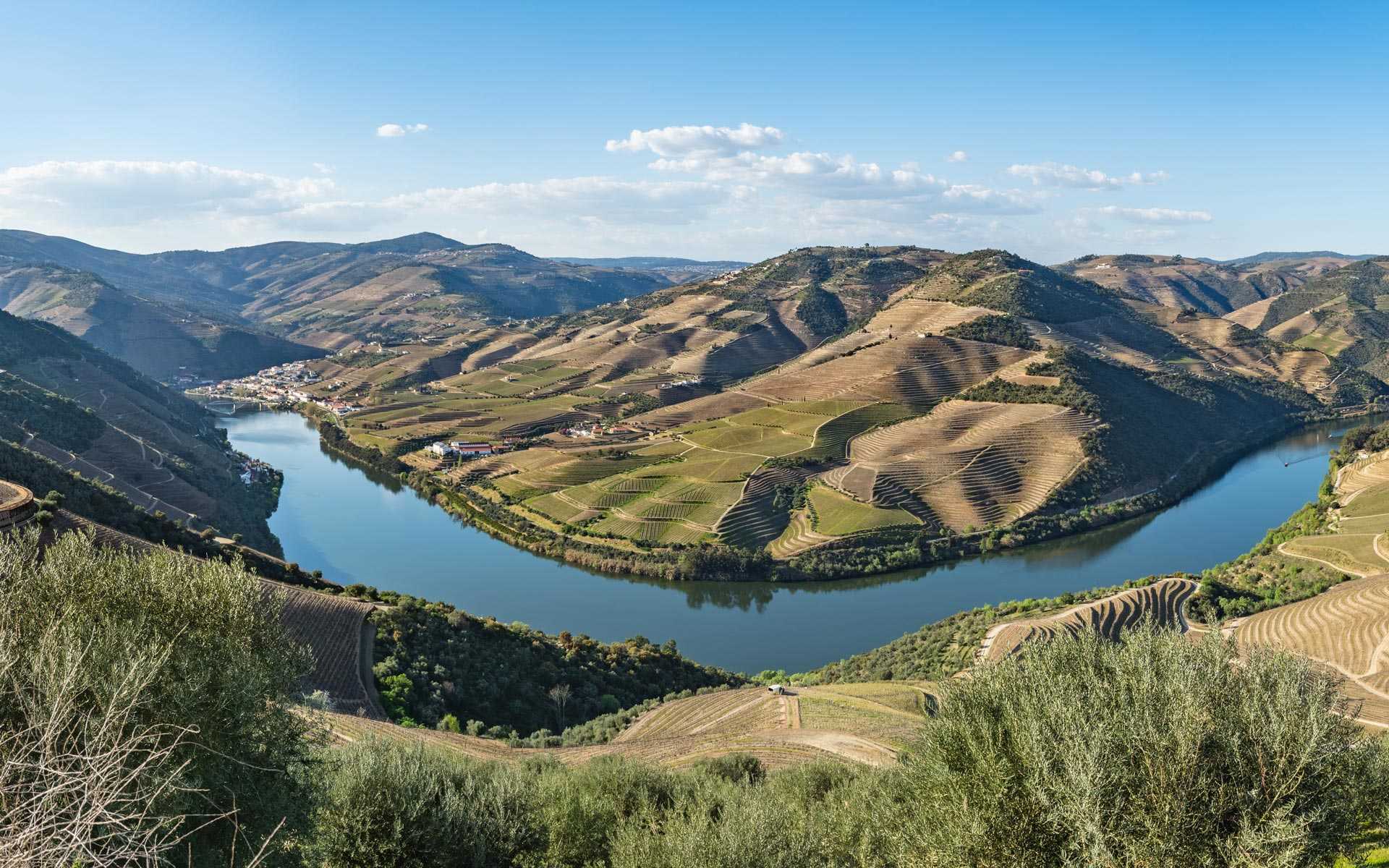 Panorama sur la vallée du Douro et ses vignes, au Portugal