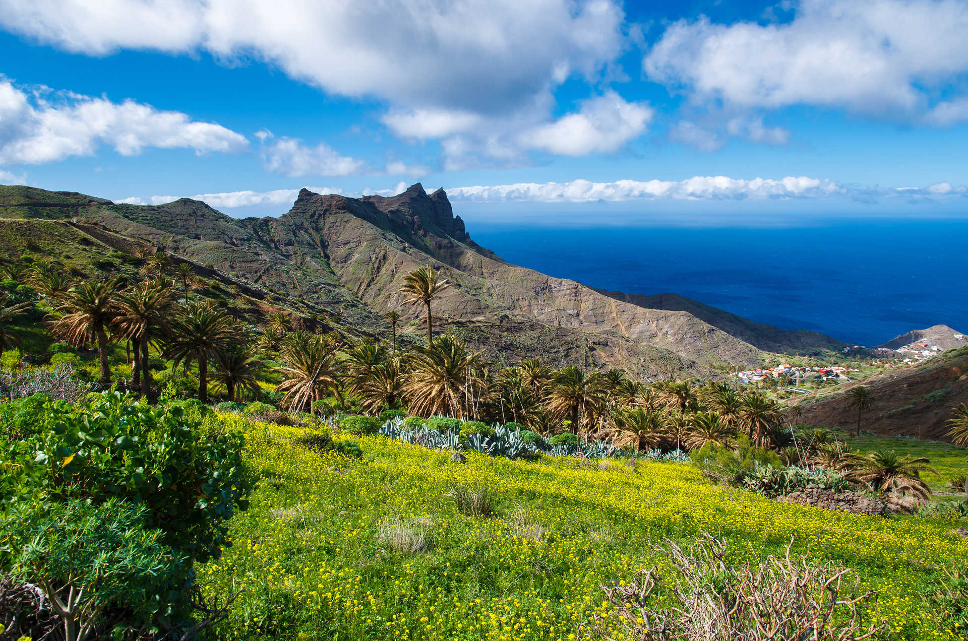 Panorama sur une montagne tropicale de l'île de la Gomera