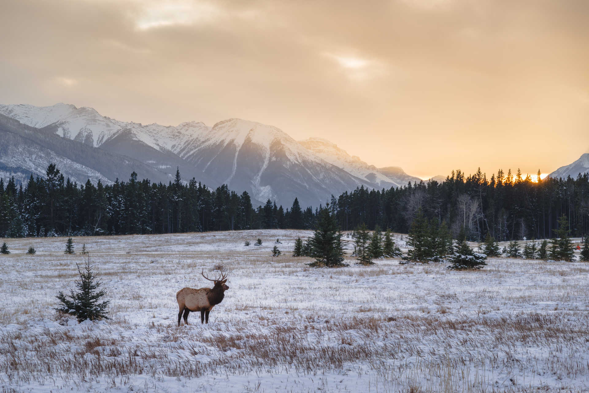 Parc national de Banff