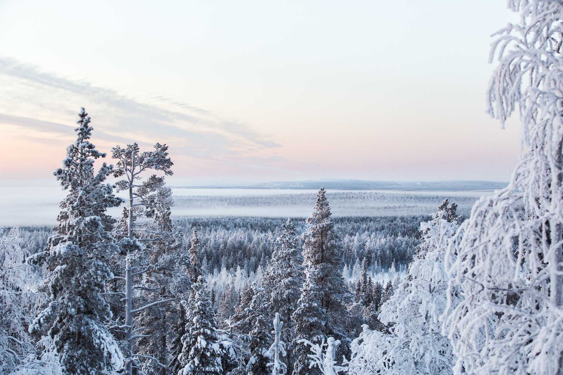 Paysage de Finlande l'hiver, Laponie