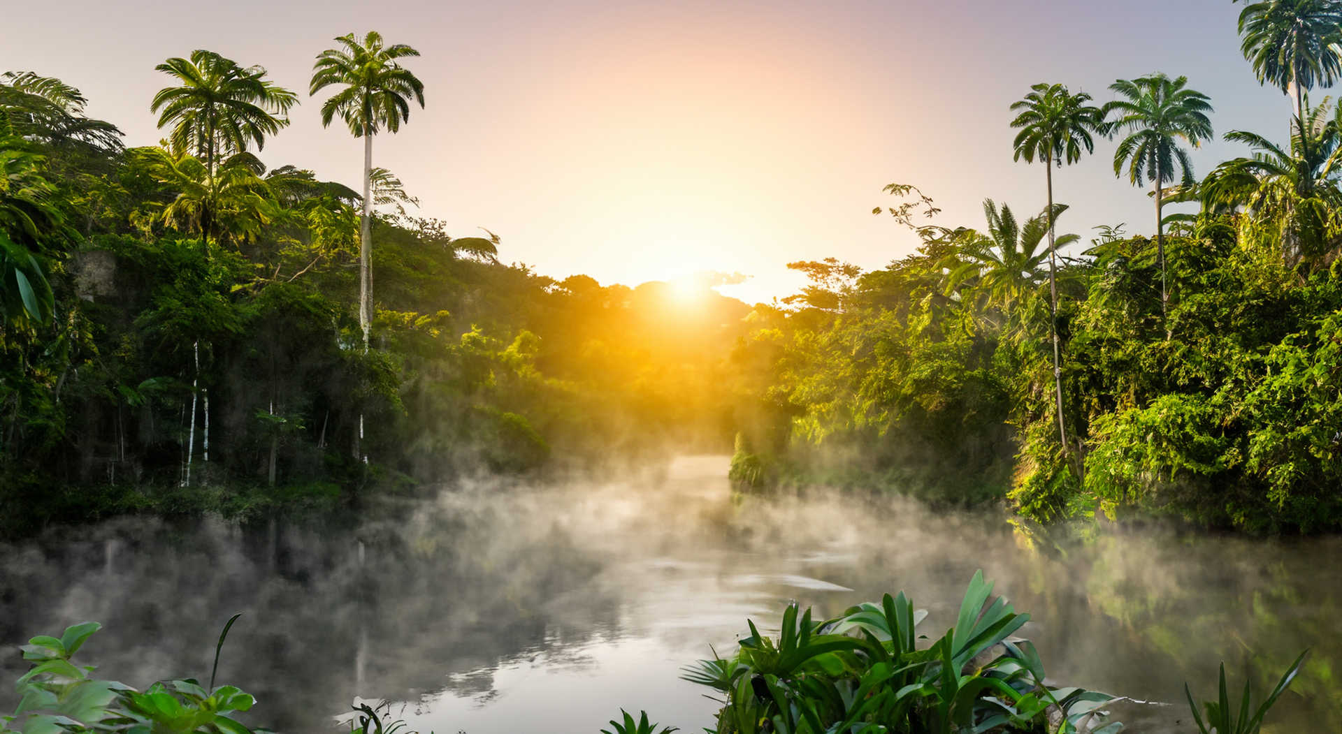 Paysage de la jugnle en Malaisie
