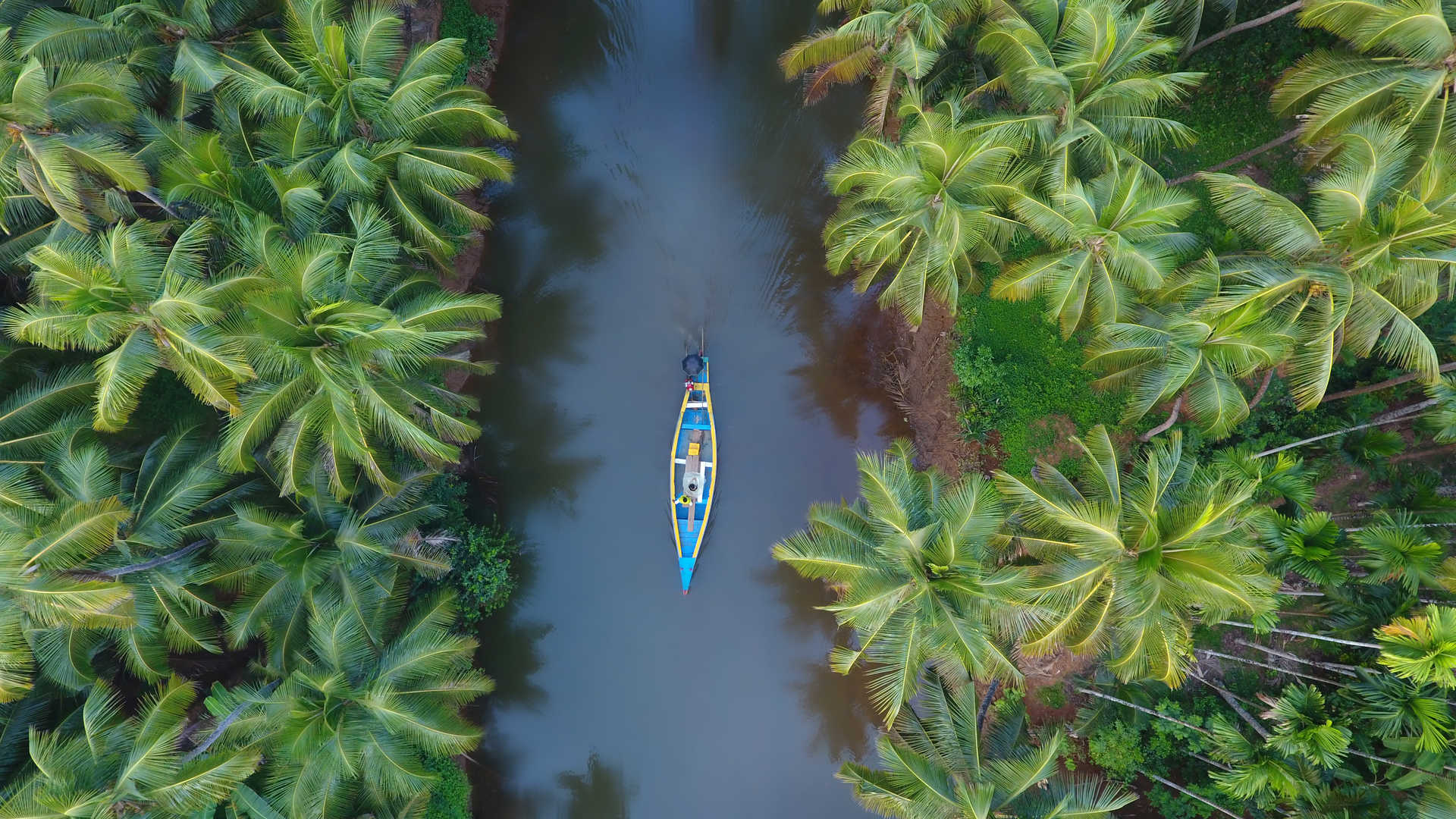 paysage-naturel-backwaters-kerala