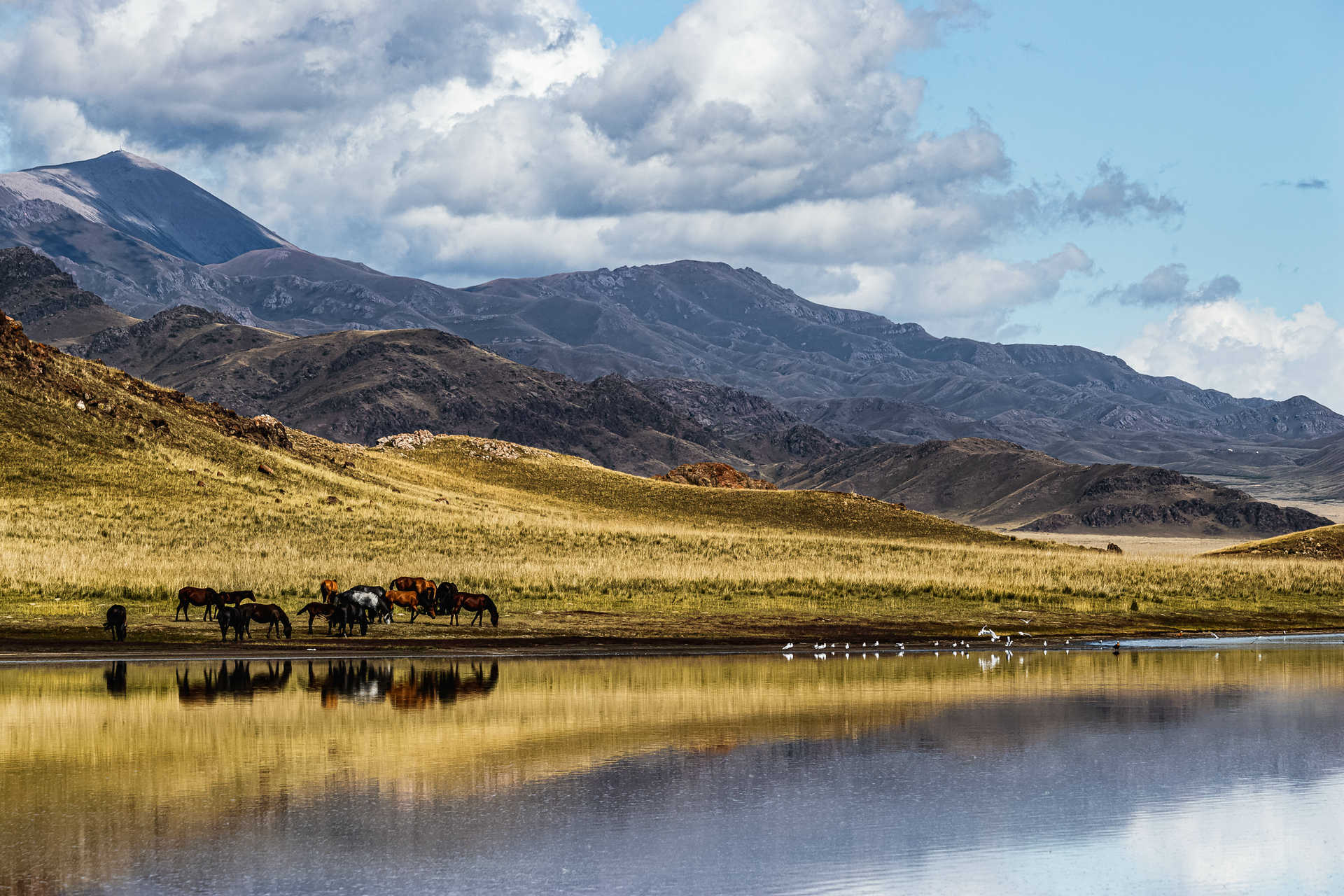 paysages-naturels-lazakhstan