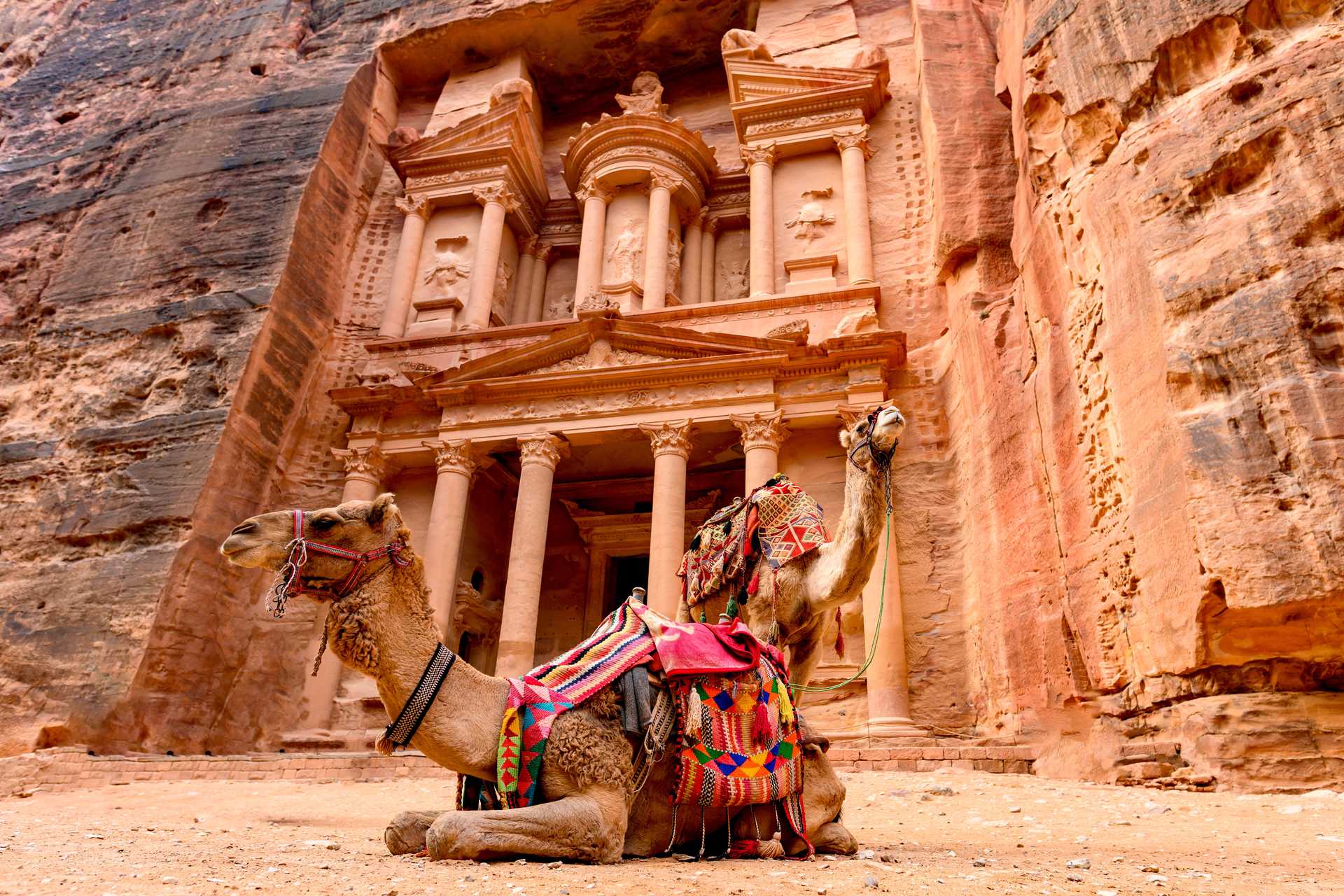 Petra avec chameaux Jordanie