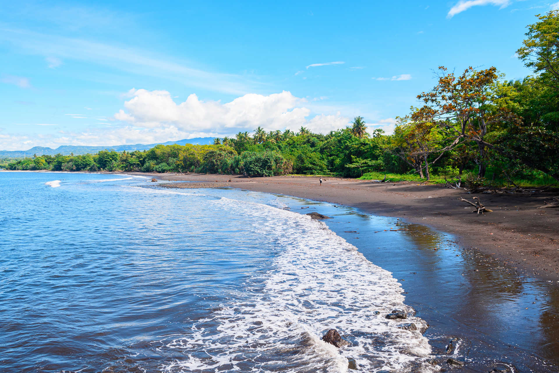 plages flores