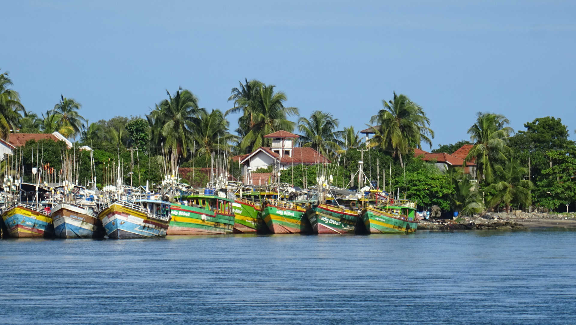 Port de Negombo au Sri Lanka