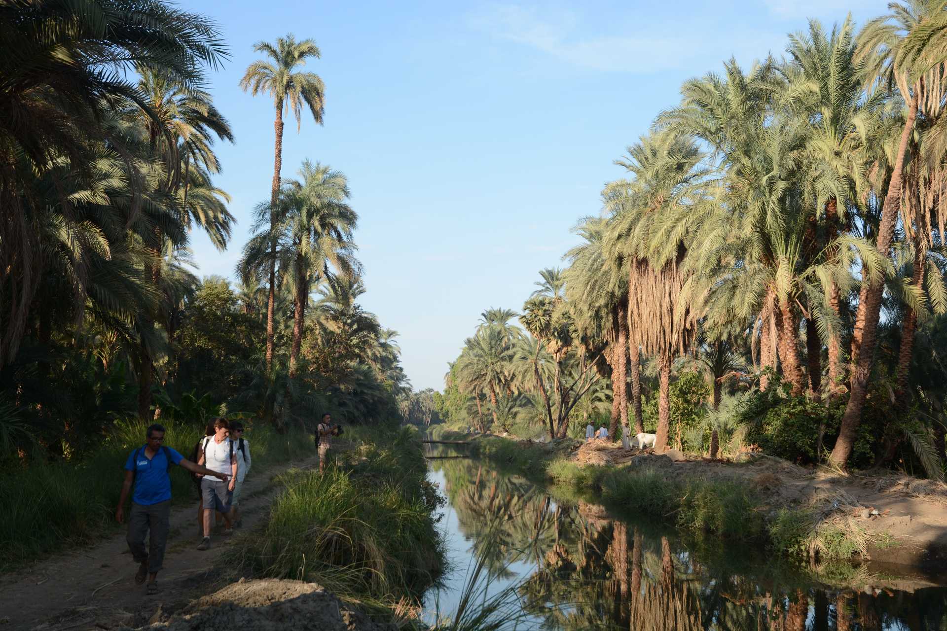 Rando sur les rives du Nil avec guide