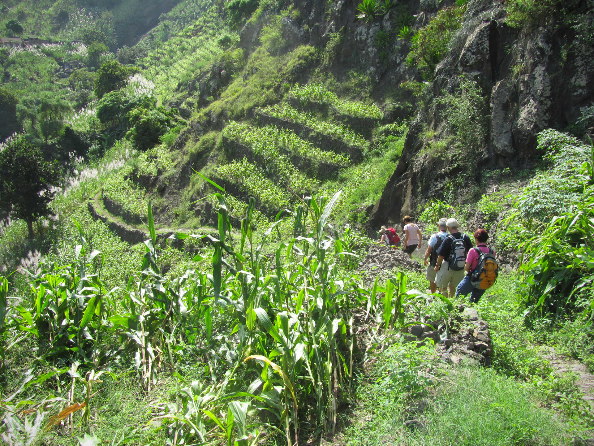 Randonnée entre les terrasses façonnées de Santo Antao - © Bendidi Sherazade Randonnée entre les terrasses façonnées de Santo Antao