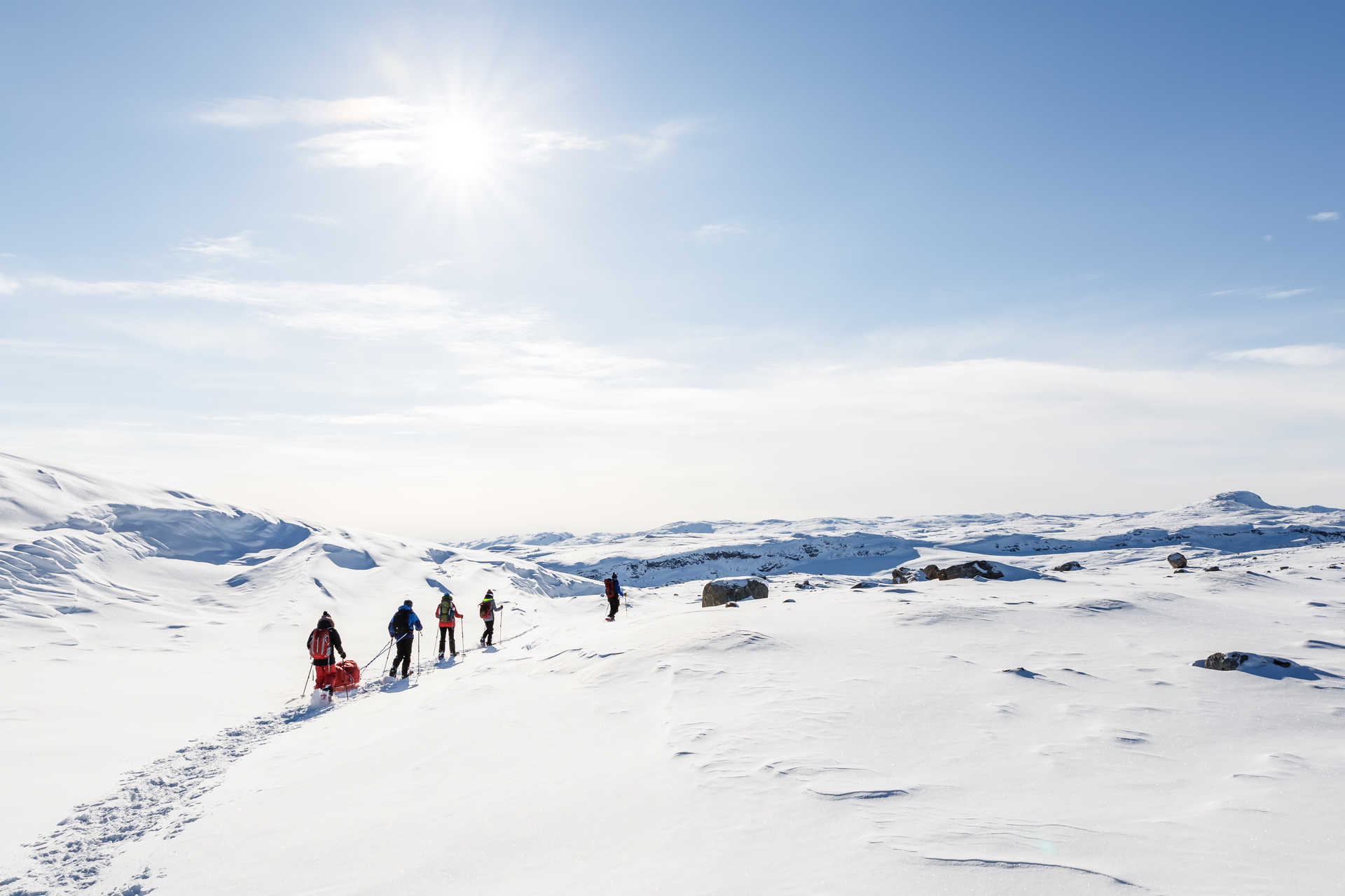 Voyage à la neige : Groenland : La banquise en raquette, des aurores boréales plein la tête