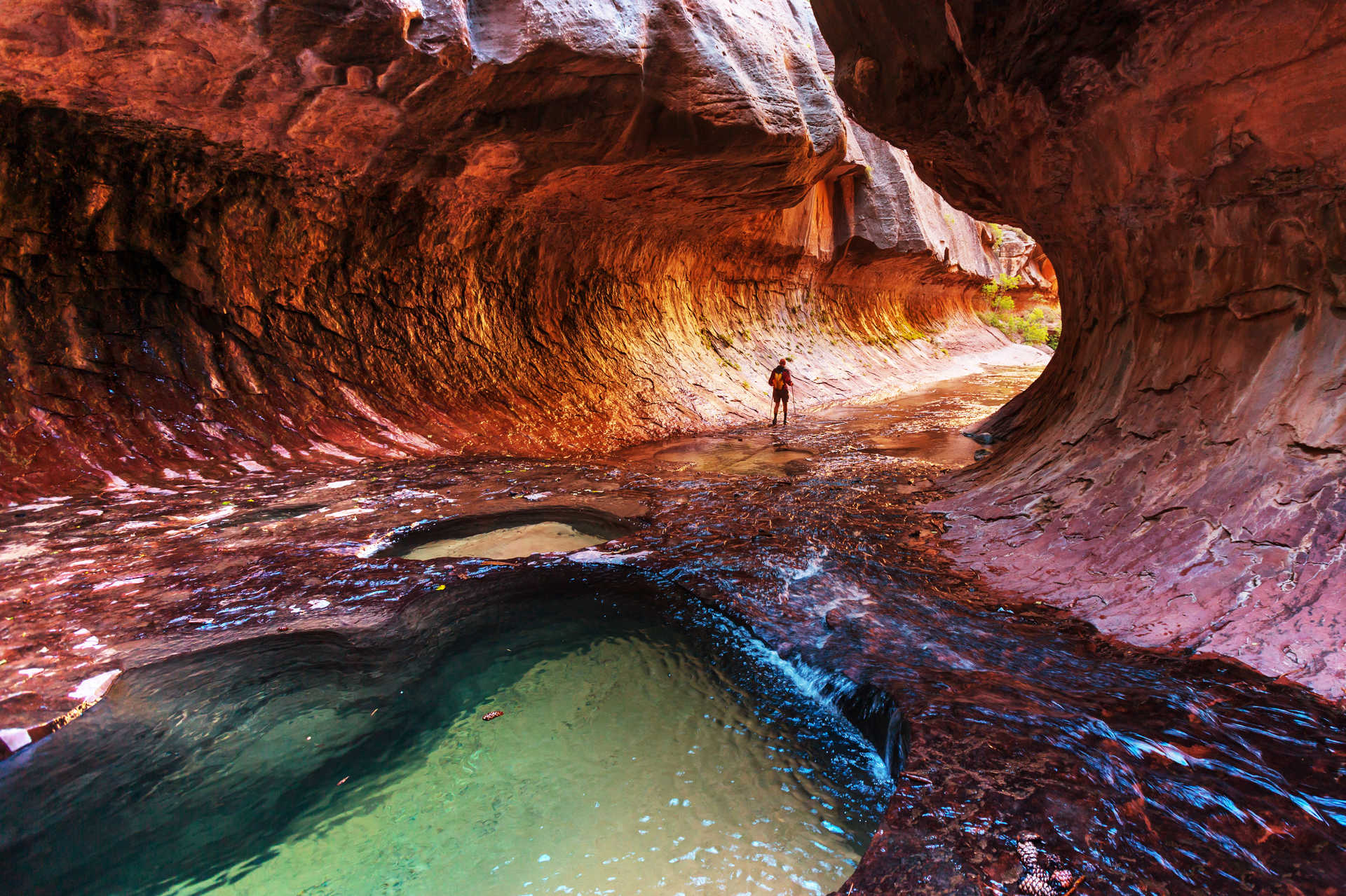 Randonneur dans le Canyon du parc National de Zion , en Utah, aux USA