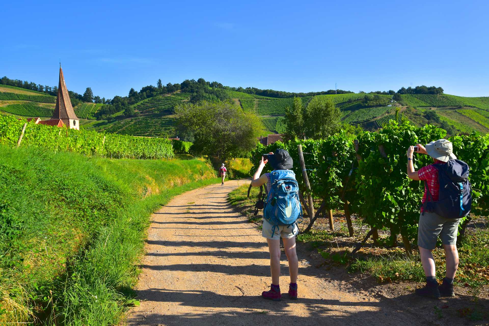Voyage à pied : Alsace : vignobles villages et forteresses medievales